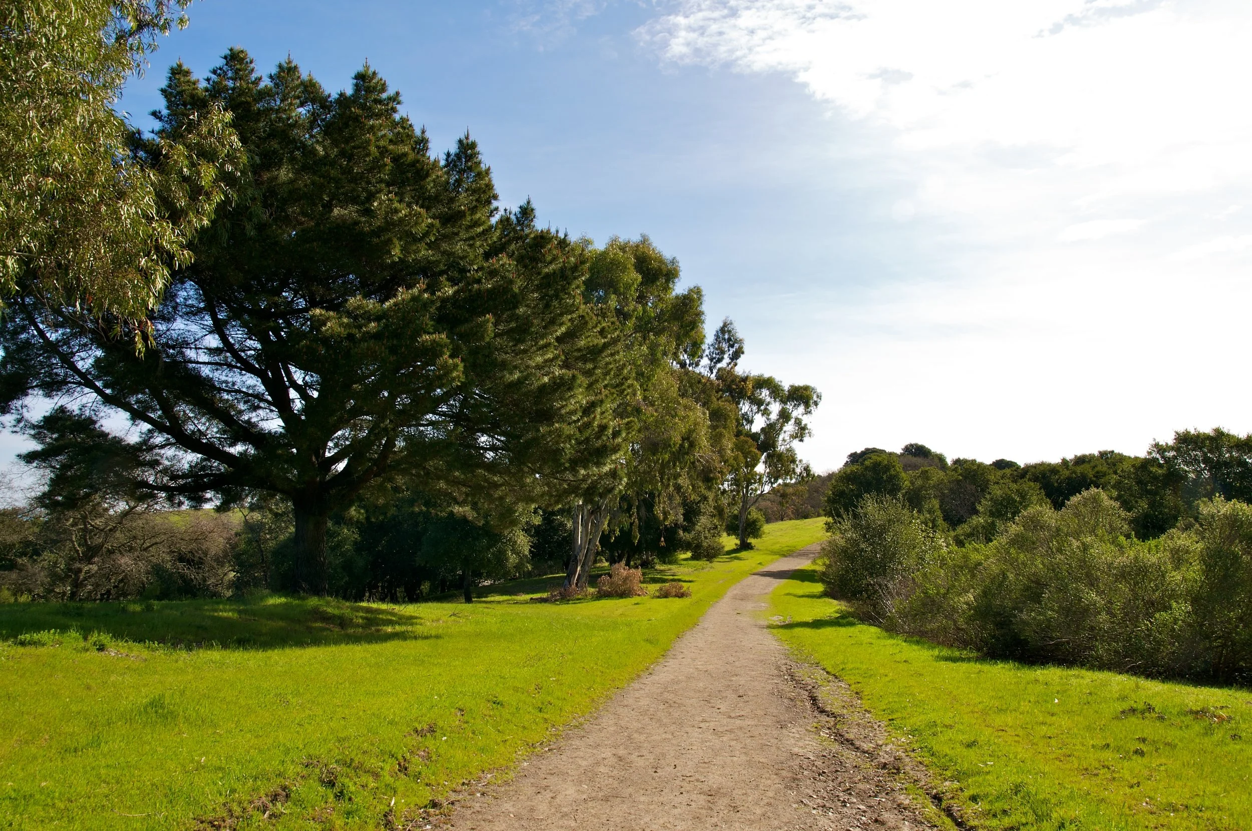 Rim trail 3_5_11 (7).jpg