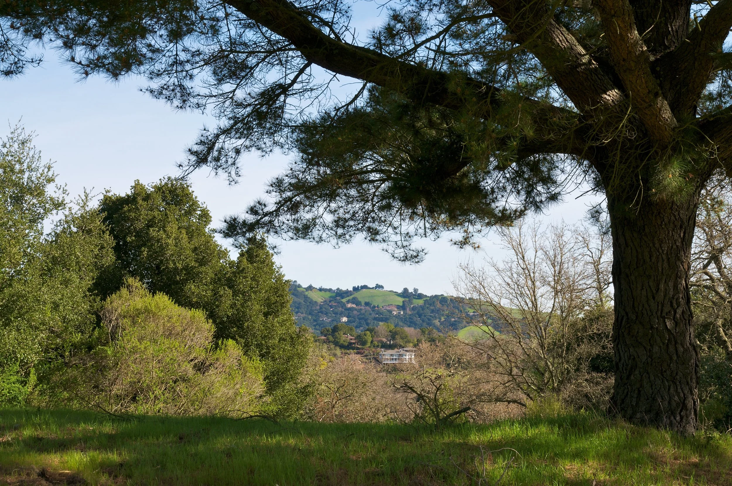 Rim trail 3_5_11 (8).jpg