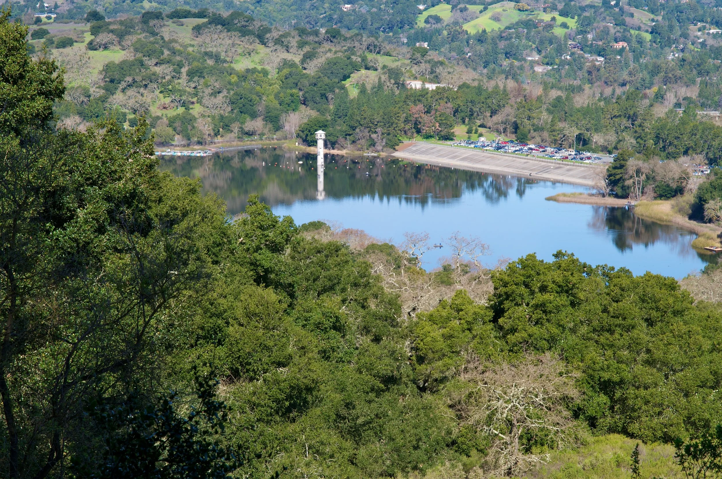 Rim trail 3_5_11 (11).jpg
