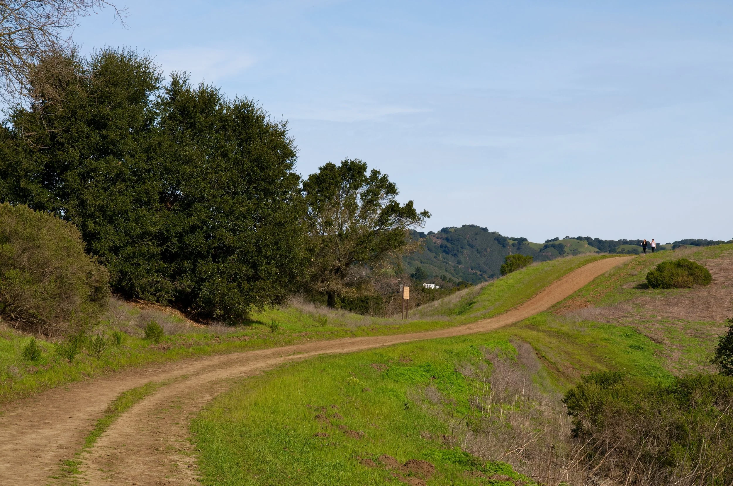 Rim trail 3_5_11 (16).jpg