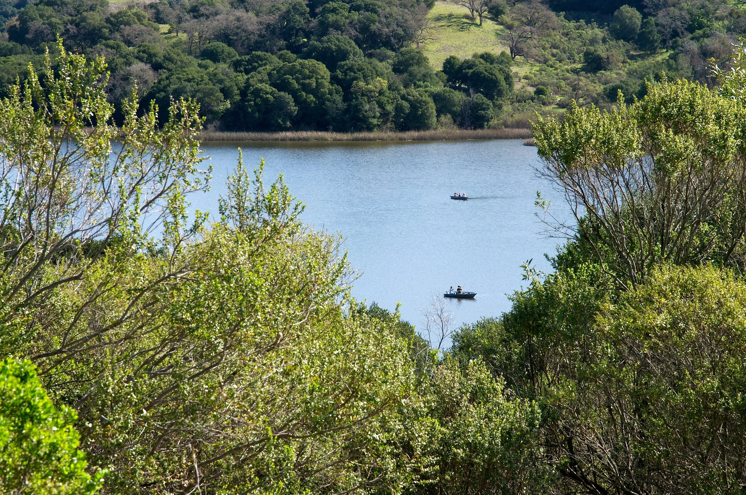 Rim trail 3_5_11 (42).jpg