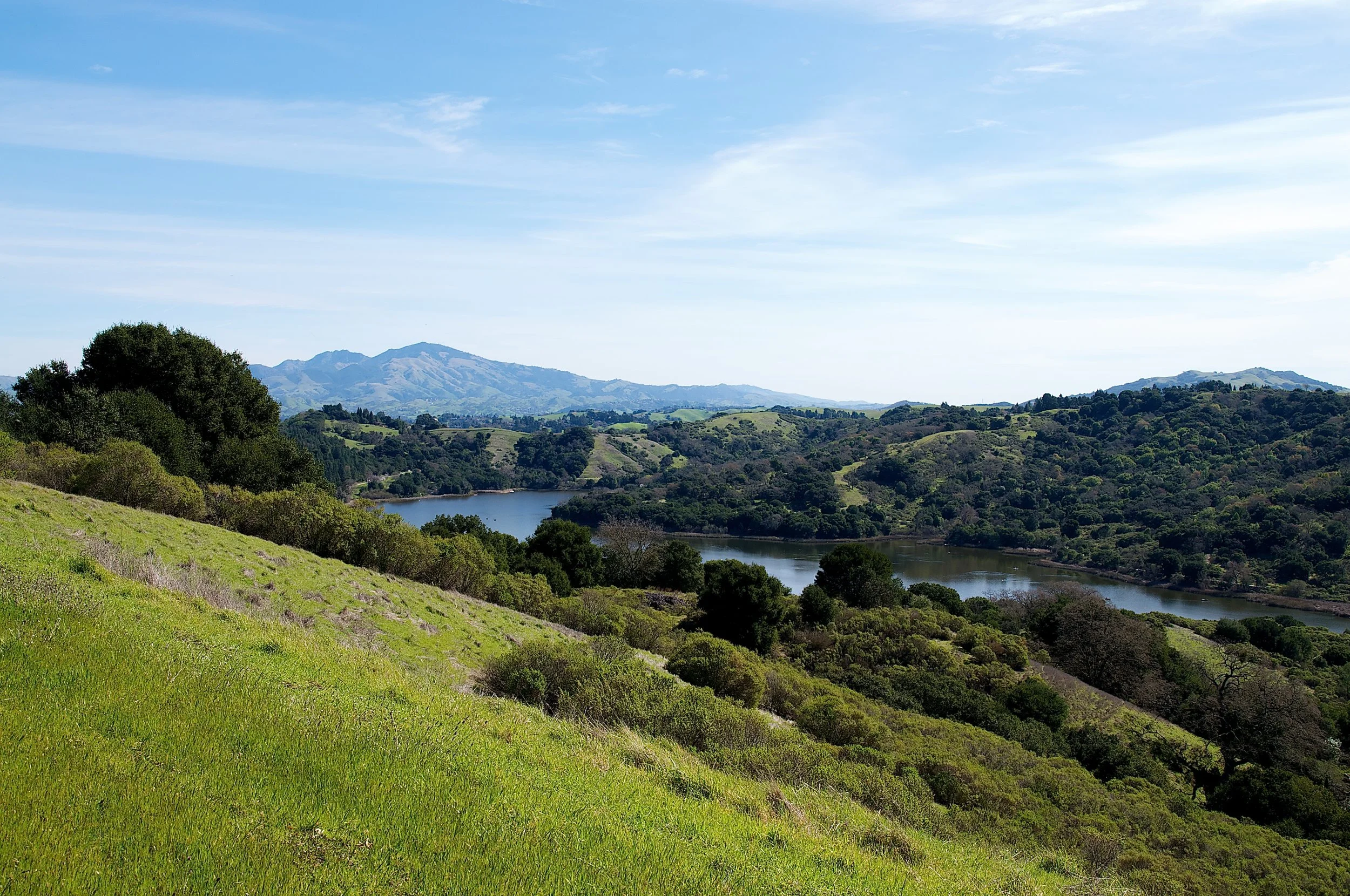 Rim trail 3_5_11 (55).jpg