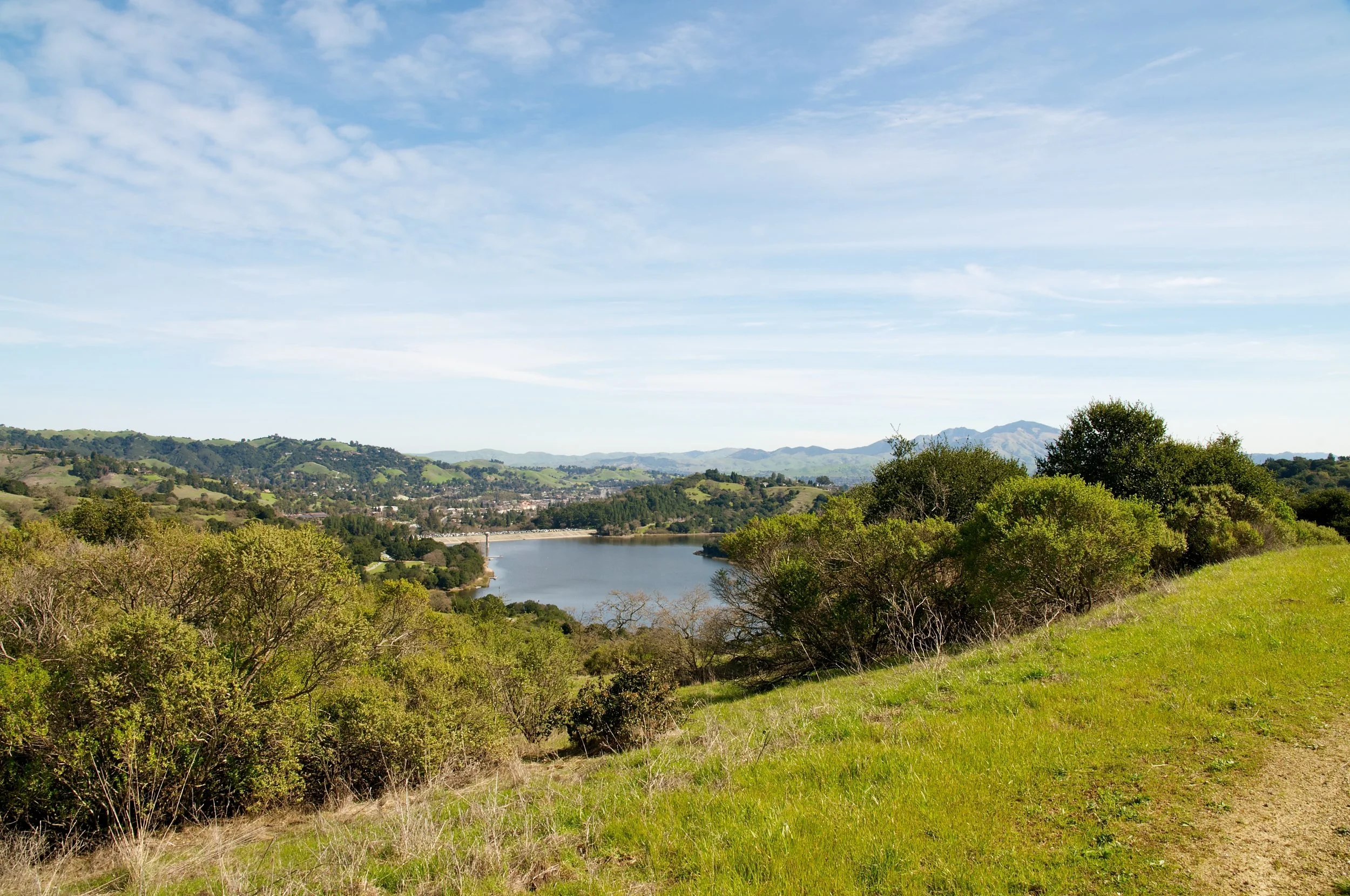 Rim trail 3_5_11 (64).jpg
