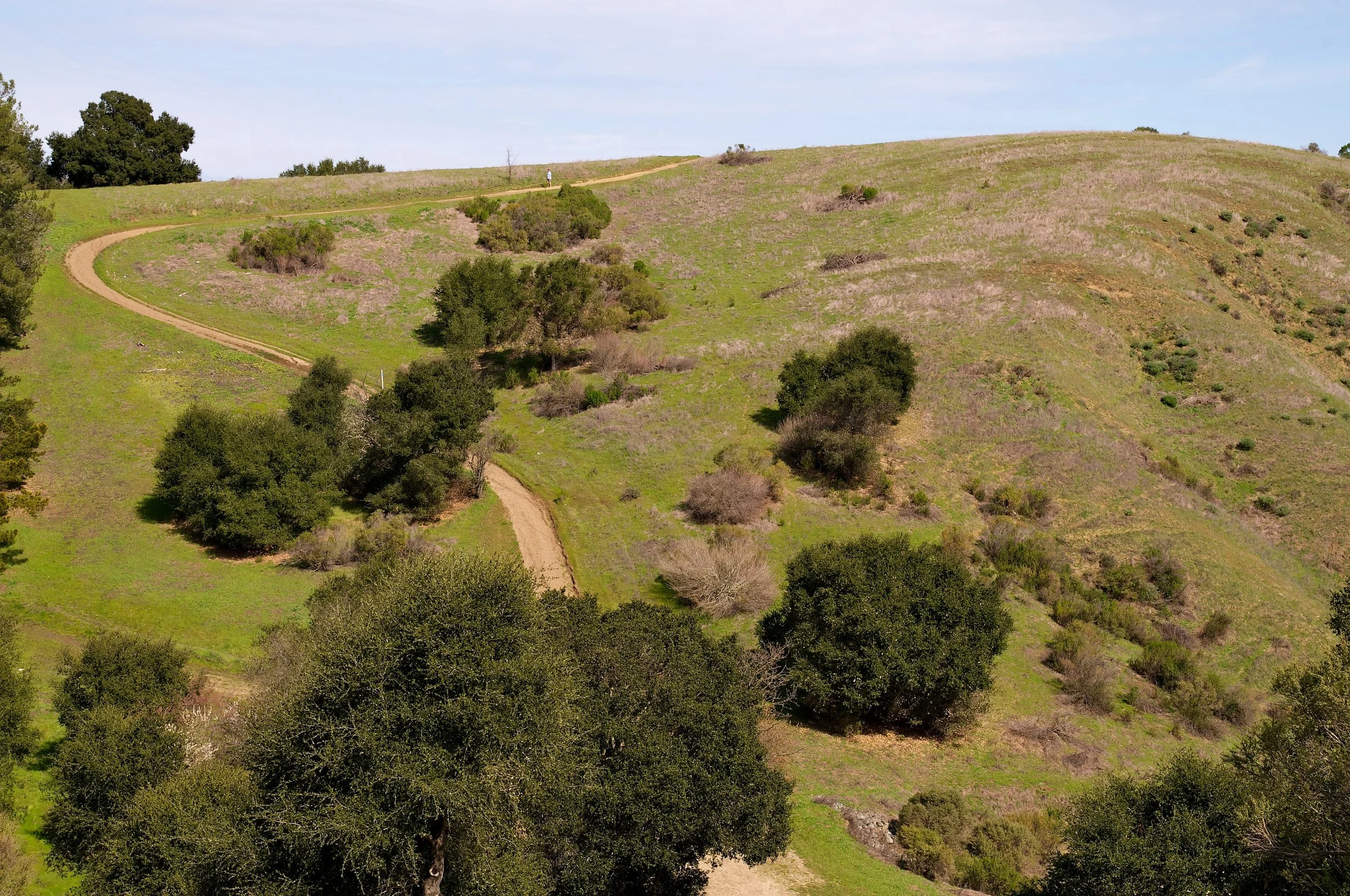 Rim trail 3_5_11 (68).jpg