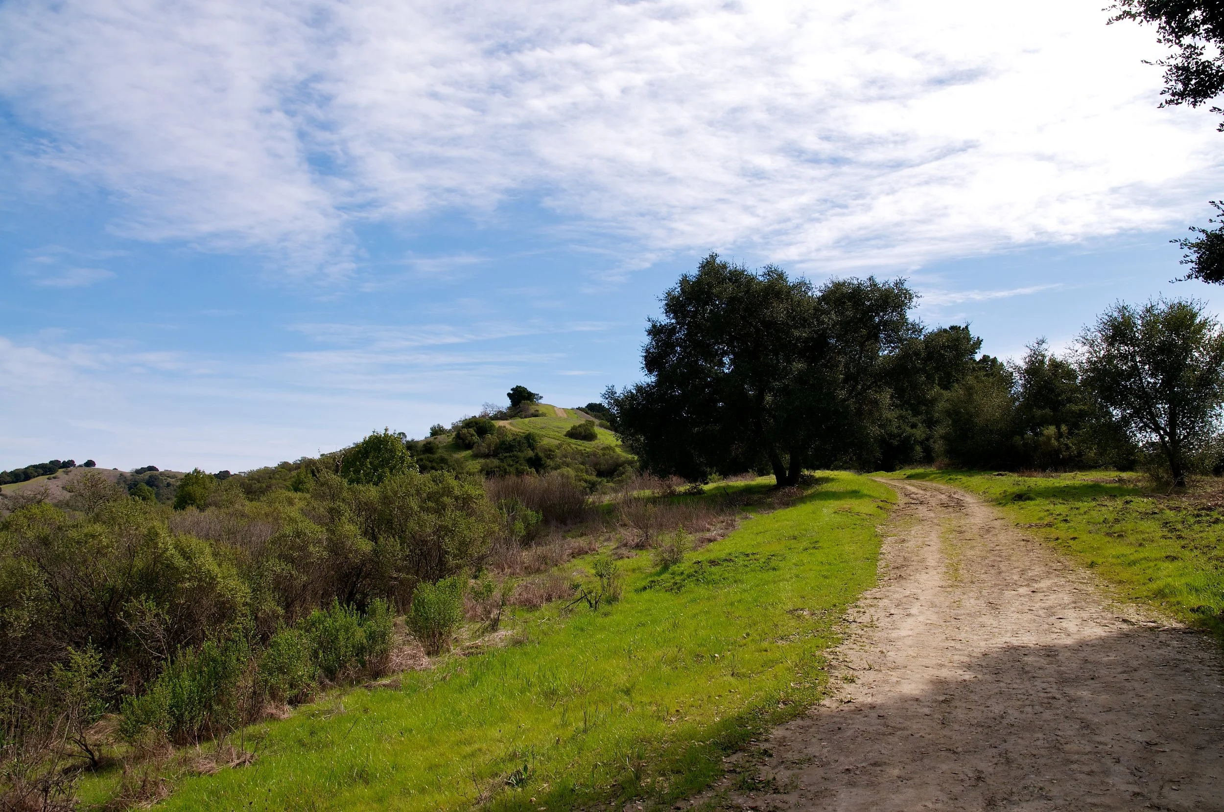 Rim trail 3_5_11 (74).jpg