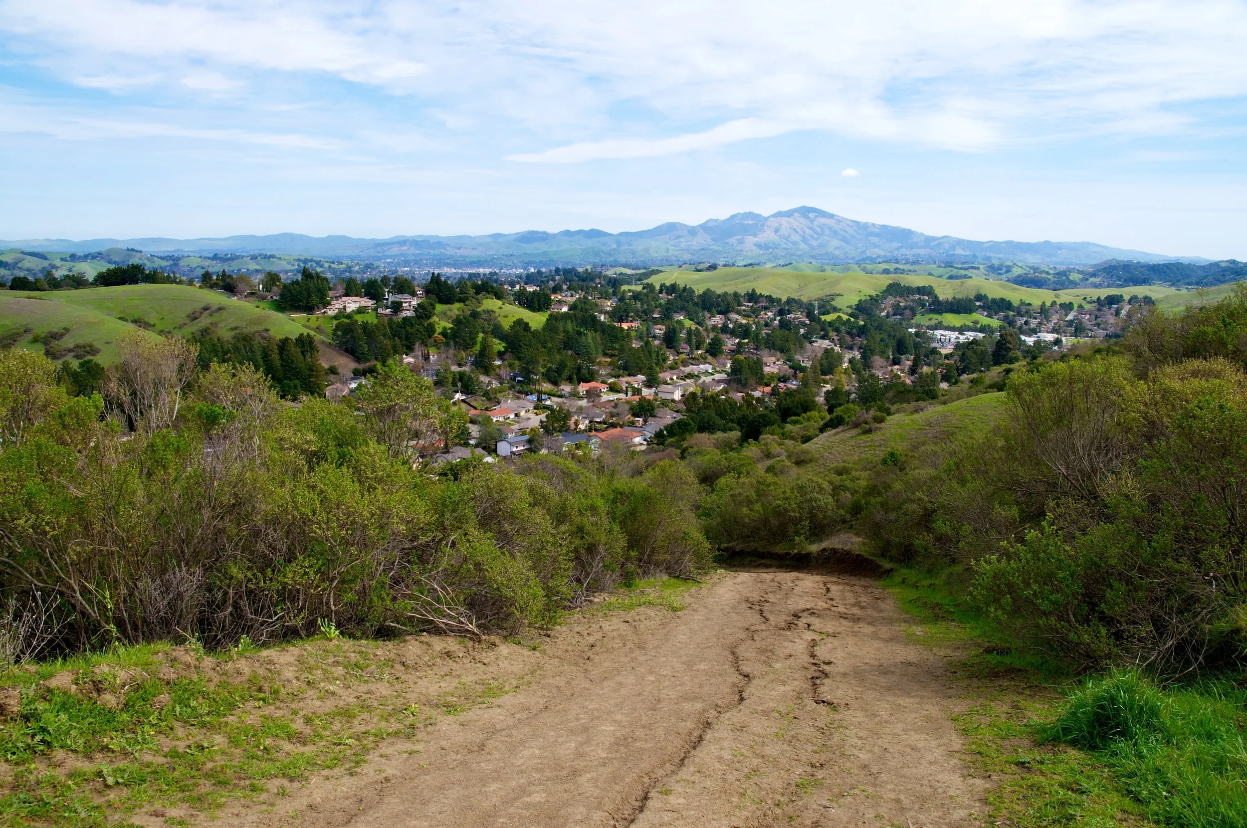Rim trail 3_5_11 (84).jpg