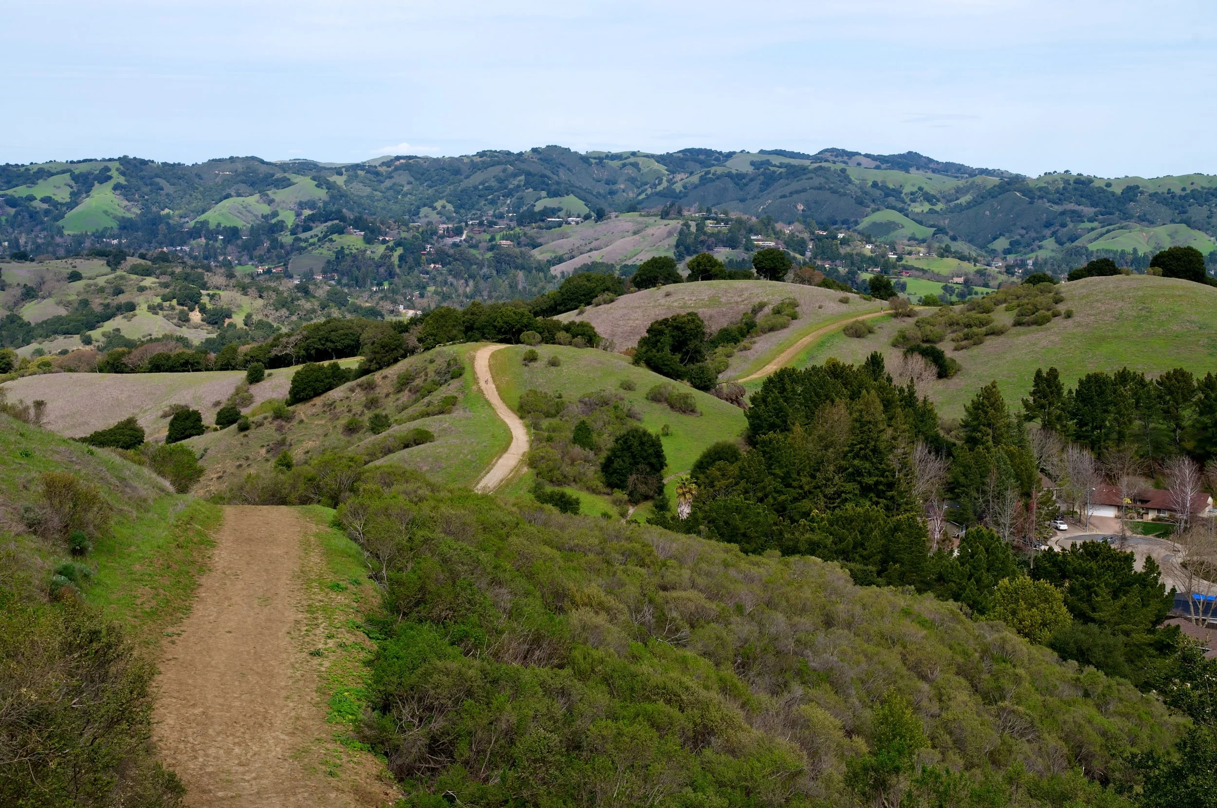 Rim trail 3_5_11 (85).jpg