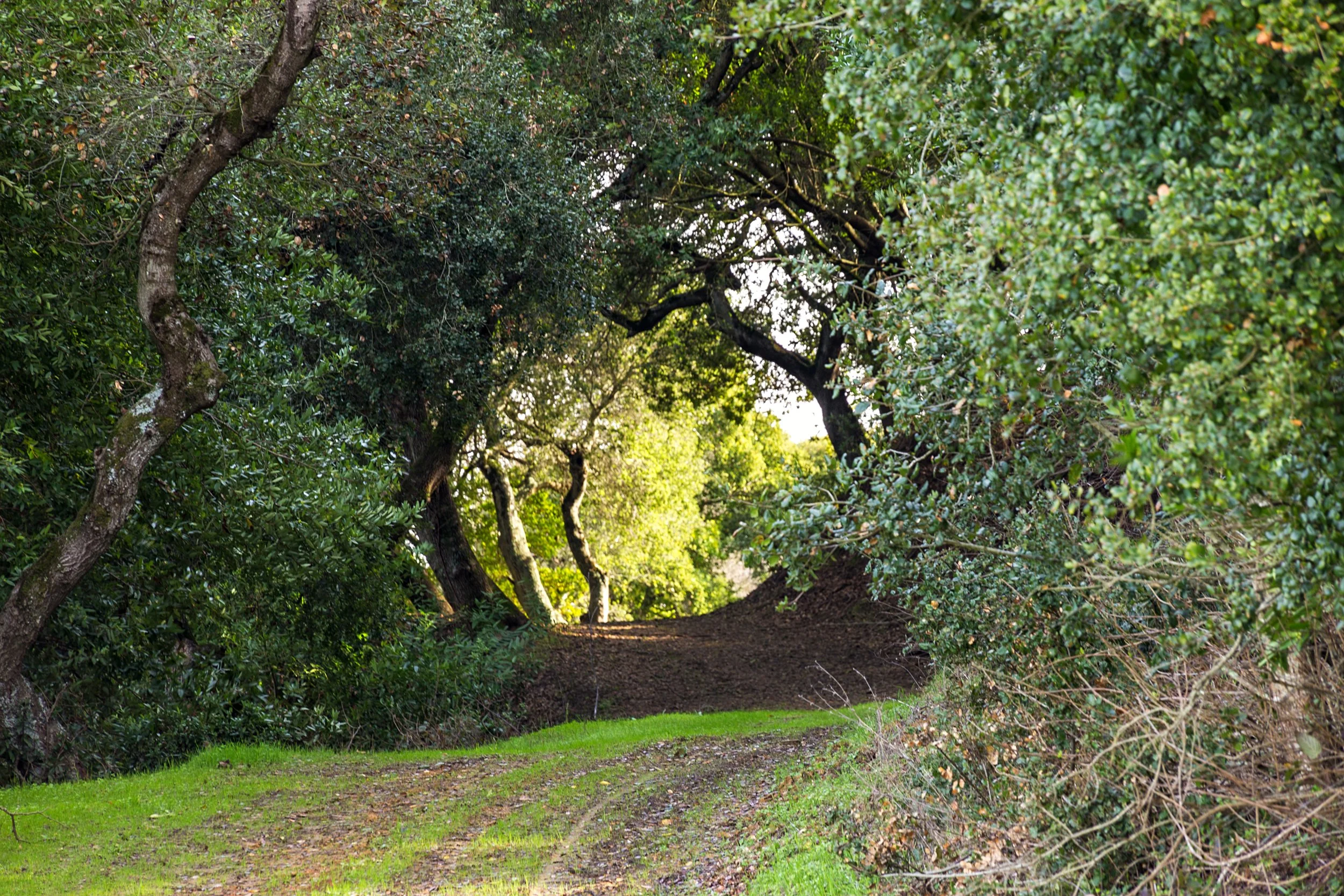 Oursan Trail-25.jpg