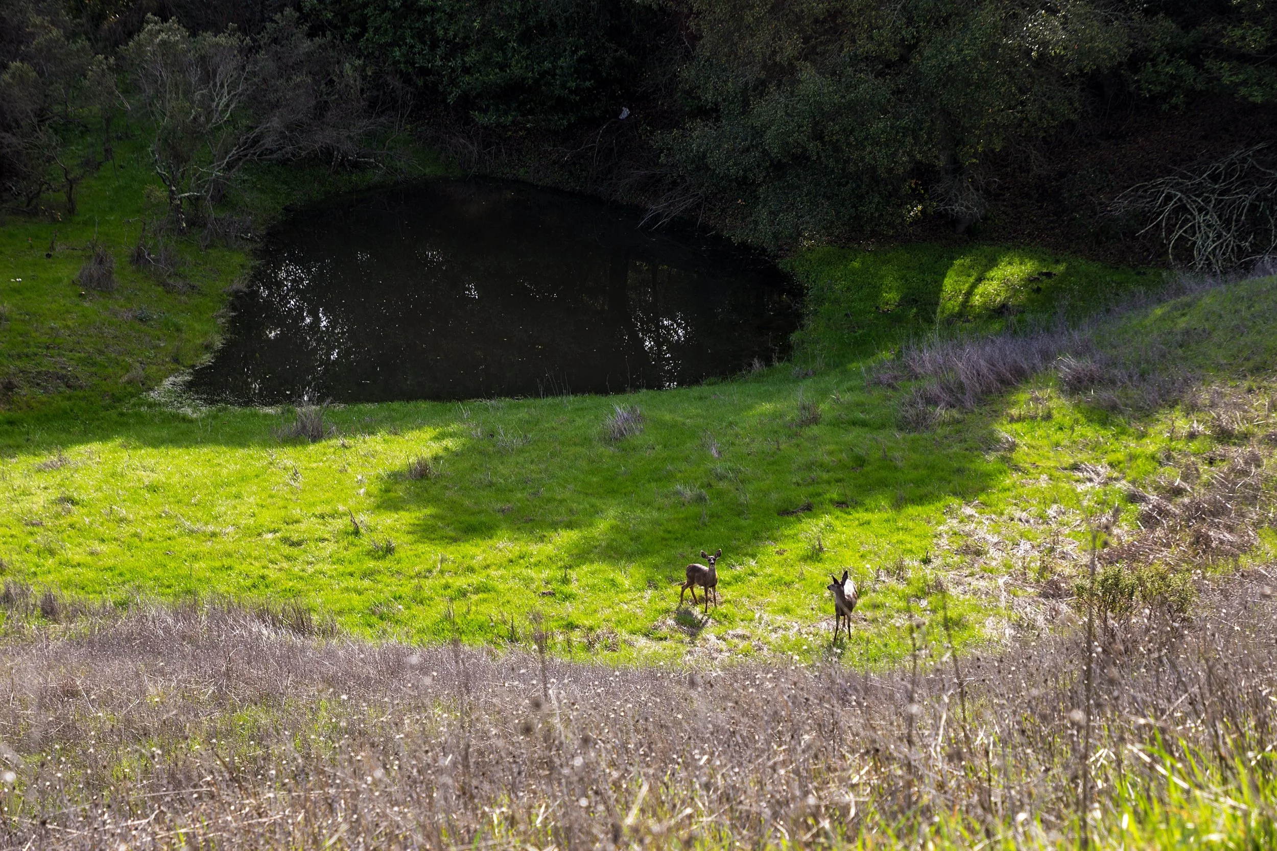 Oursan Trail-32.jpg
