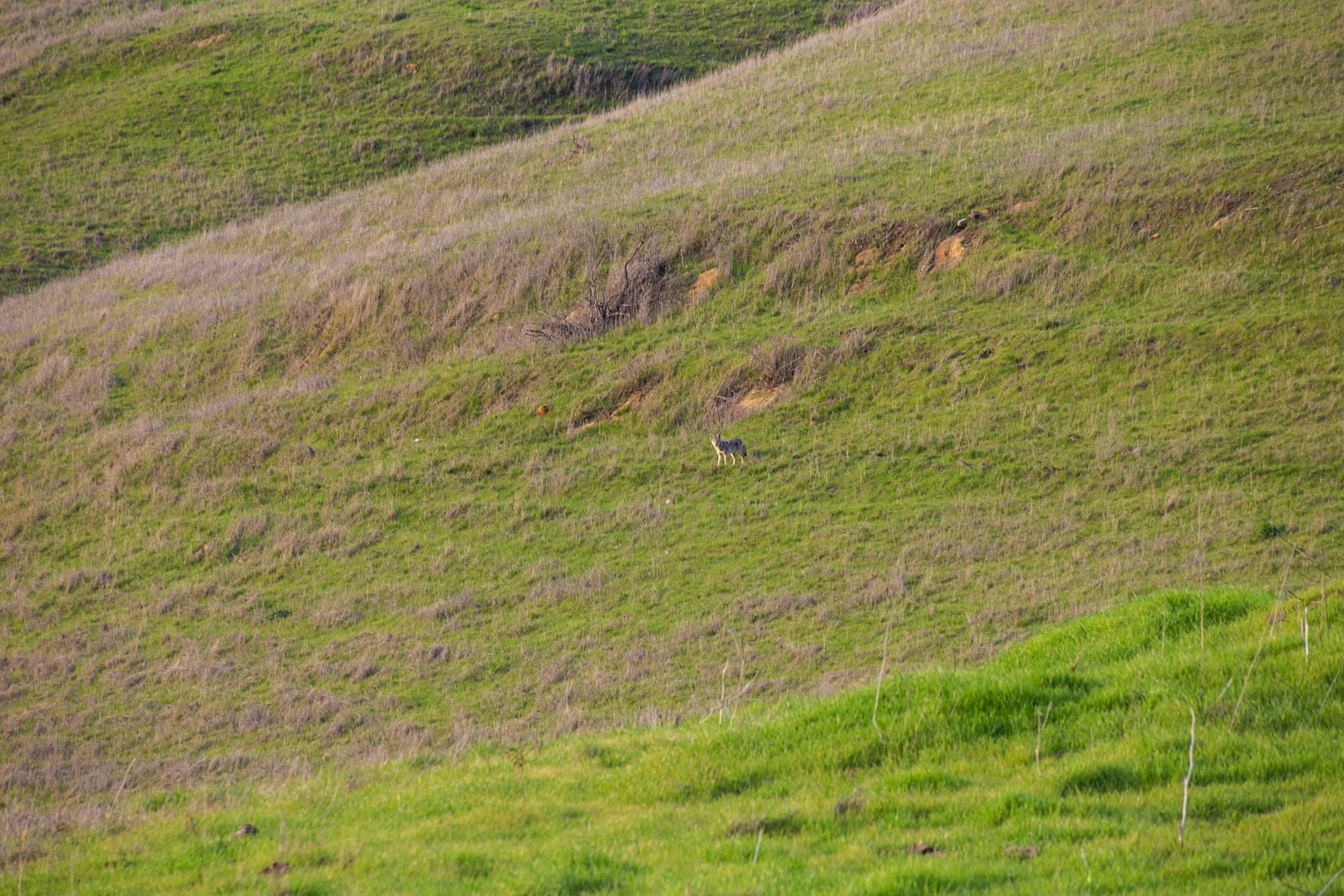 Oursan Trail-86.jpg