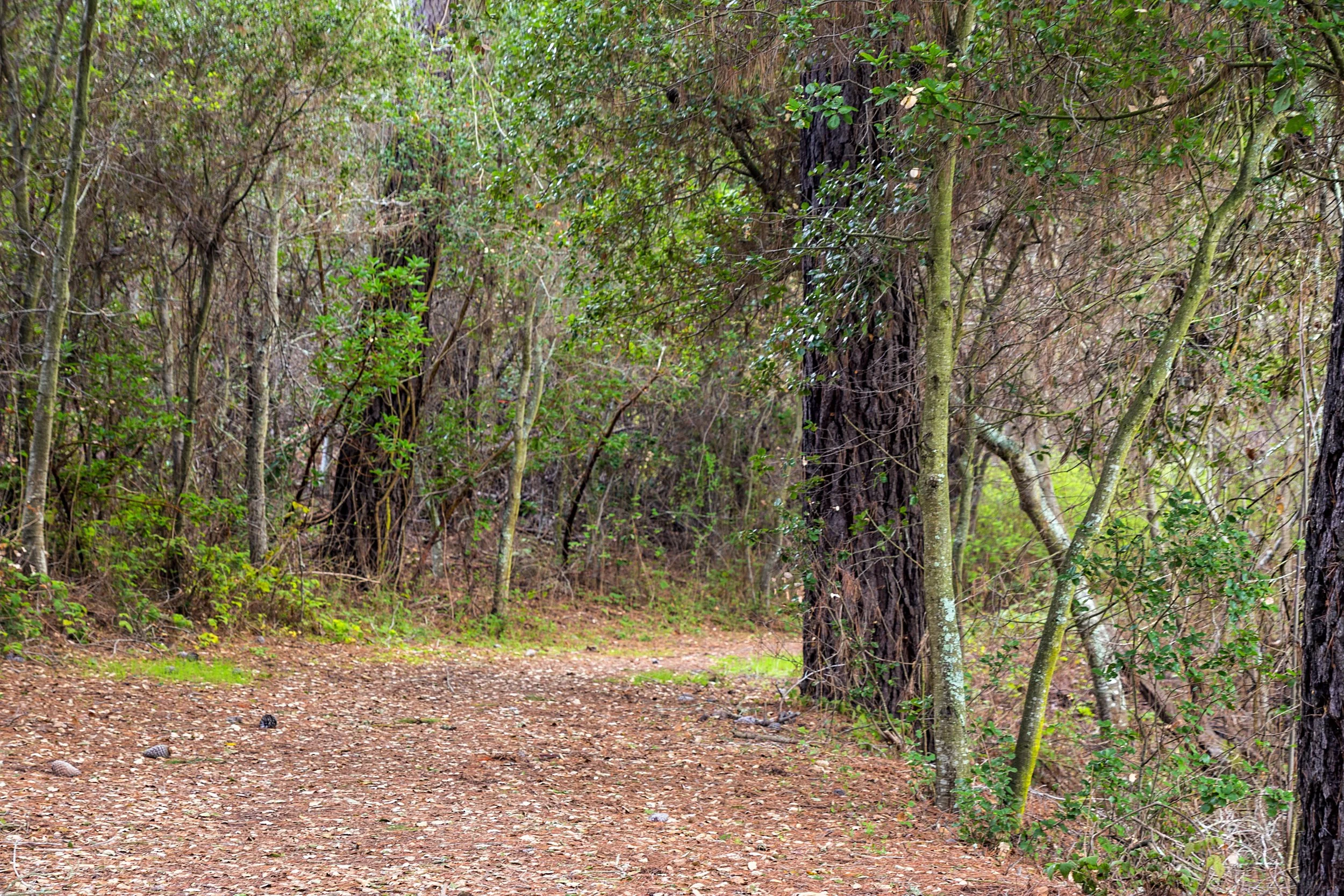 Old San Pablo Trail San Pablo Reservoir-50.jpg