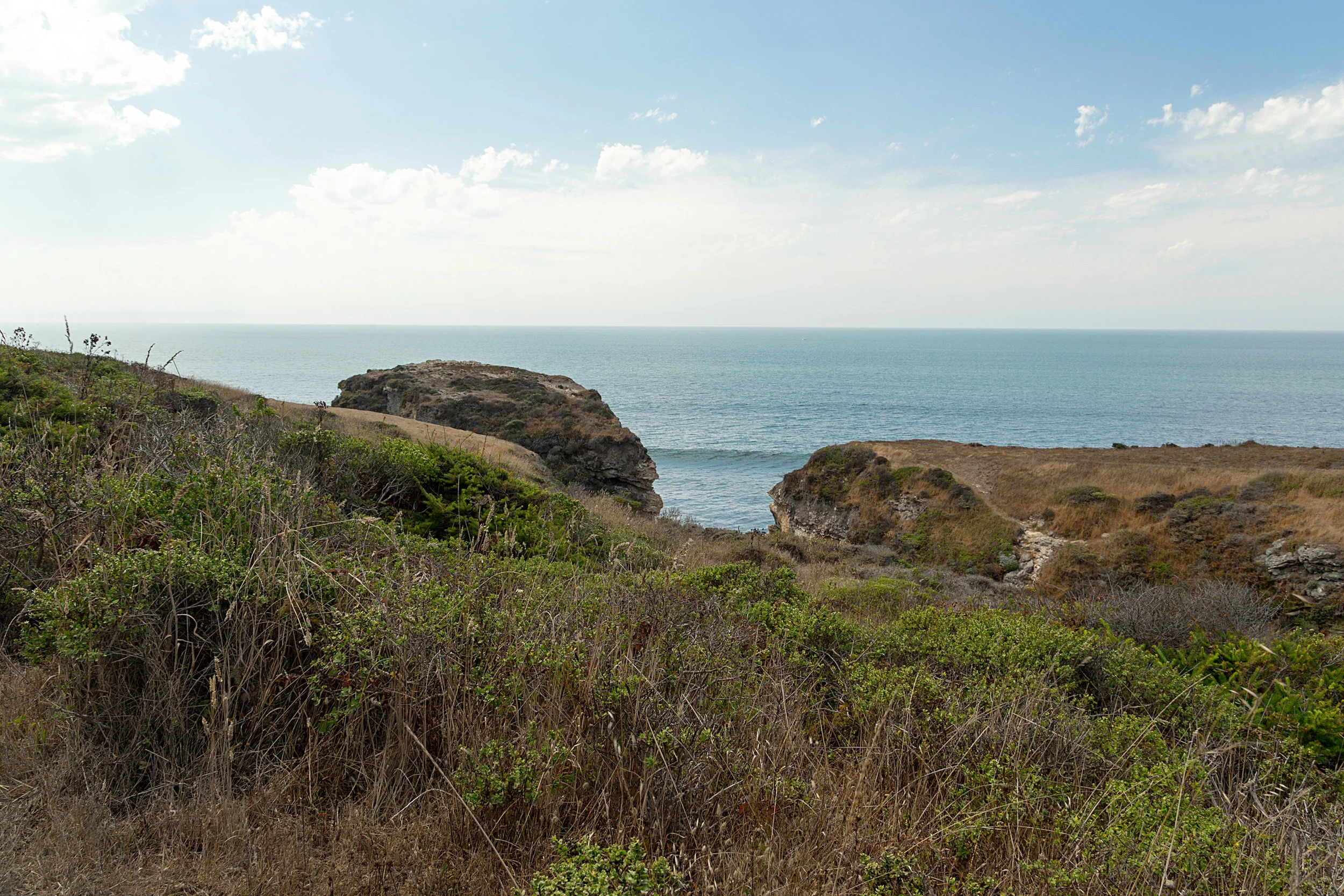 Pt Reyes Bear Creek Trail-20.jpg