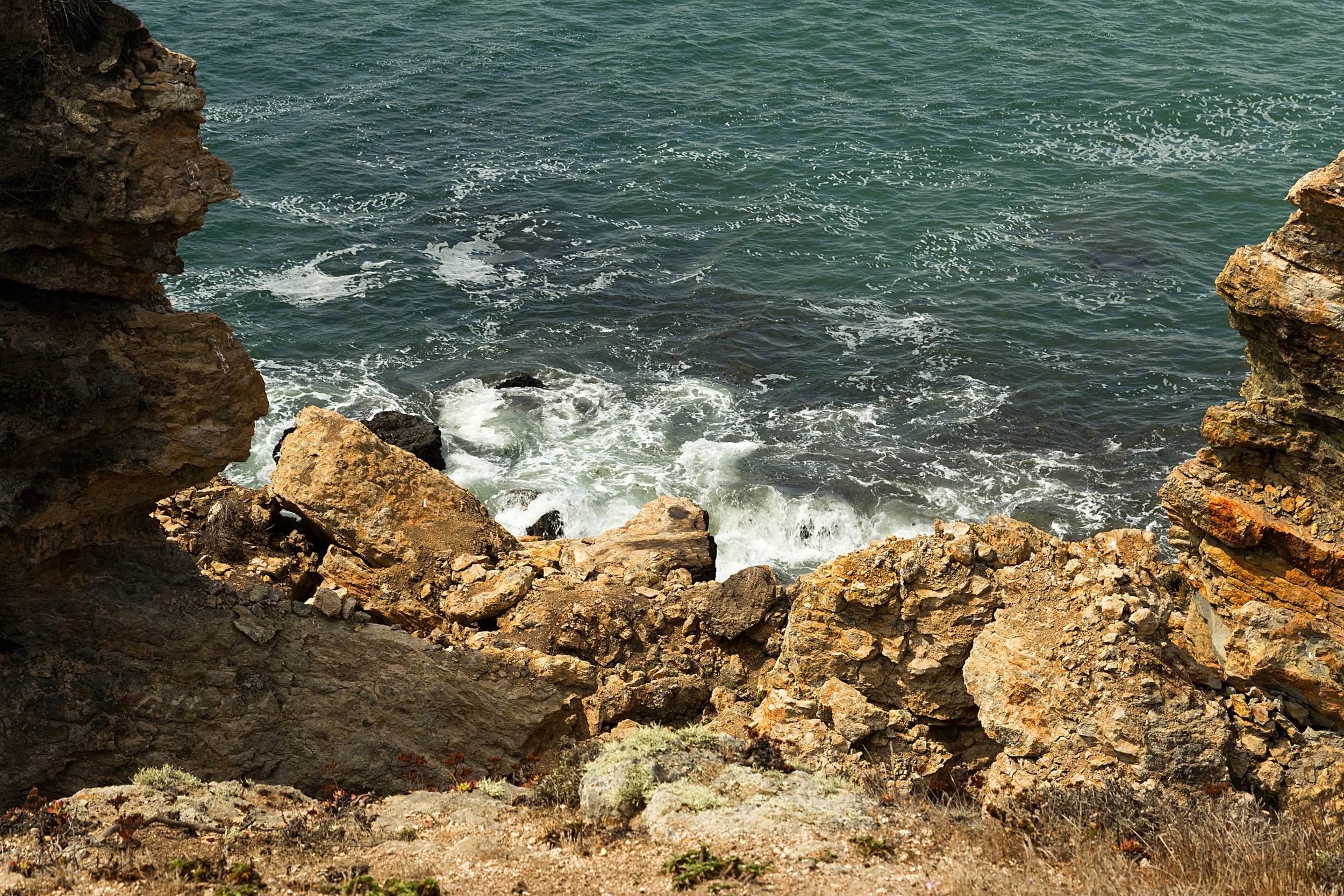 Pt Reyes Bear Creek Trail-23.jpg