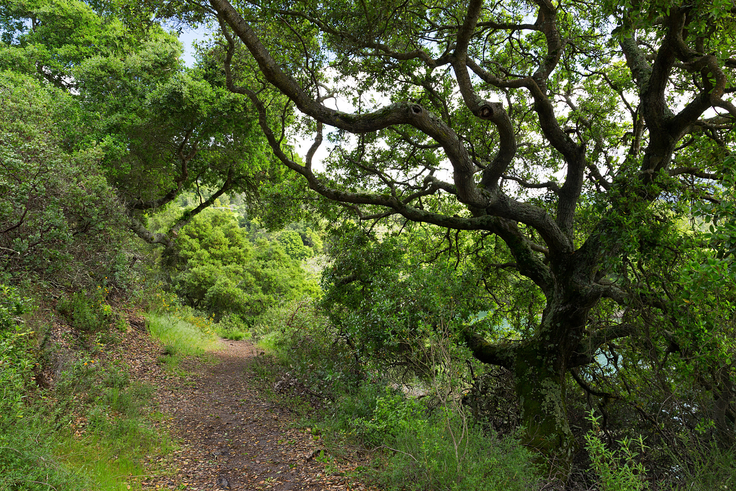 Bear Creek Trail-27.jpg