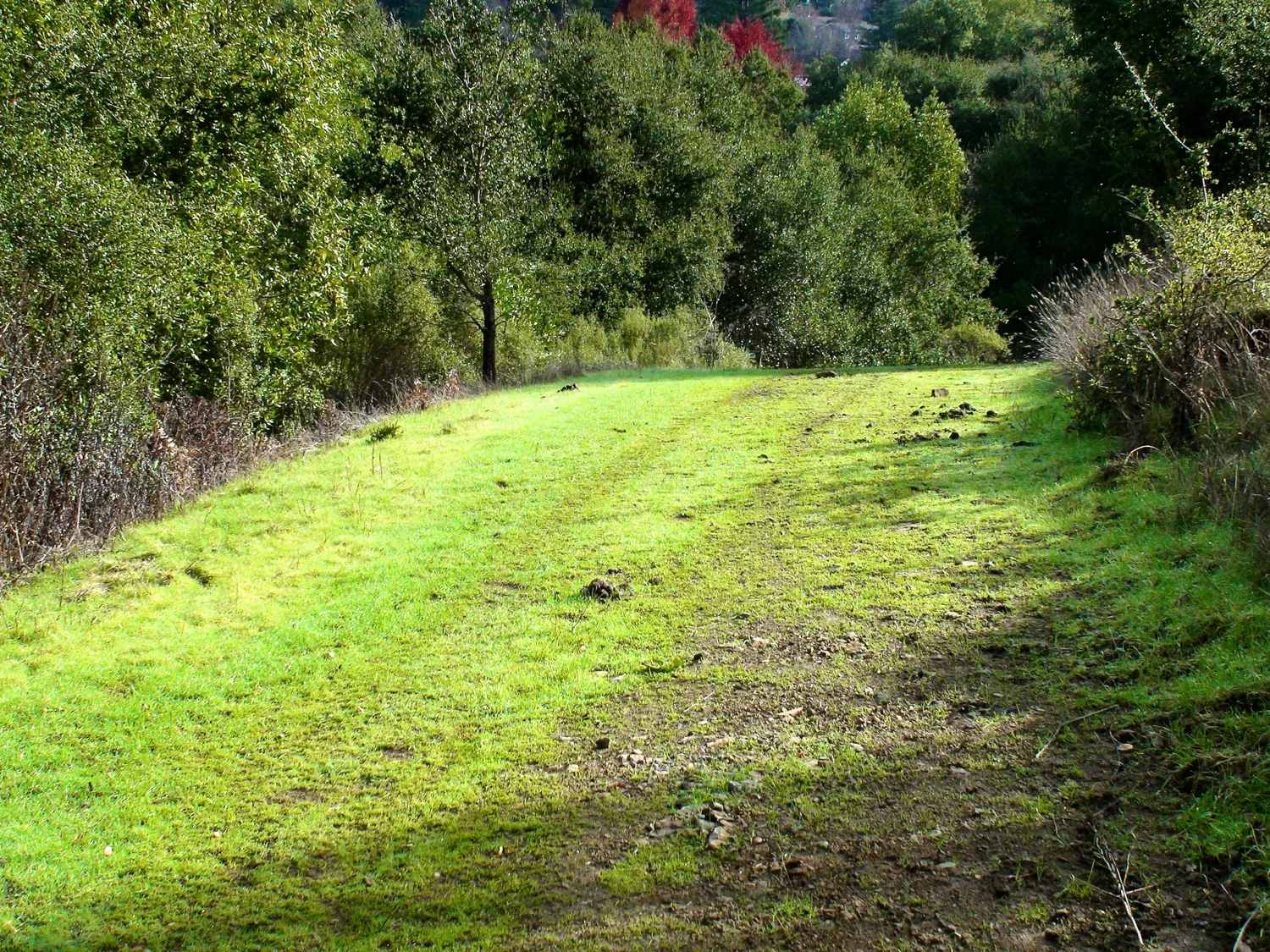 Rimer Creek_-4.jpg