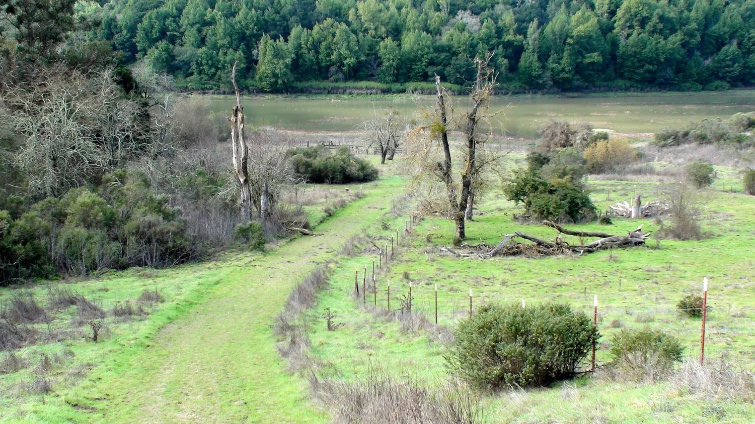 Rimer Creek_-12.jpg