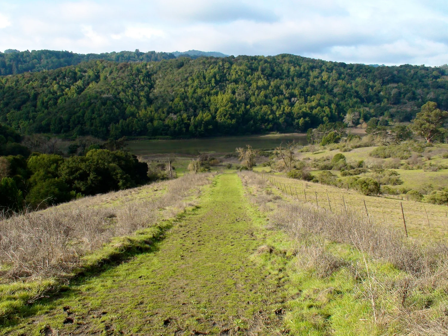 Rimer Creek_-11.jpg