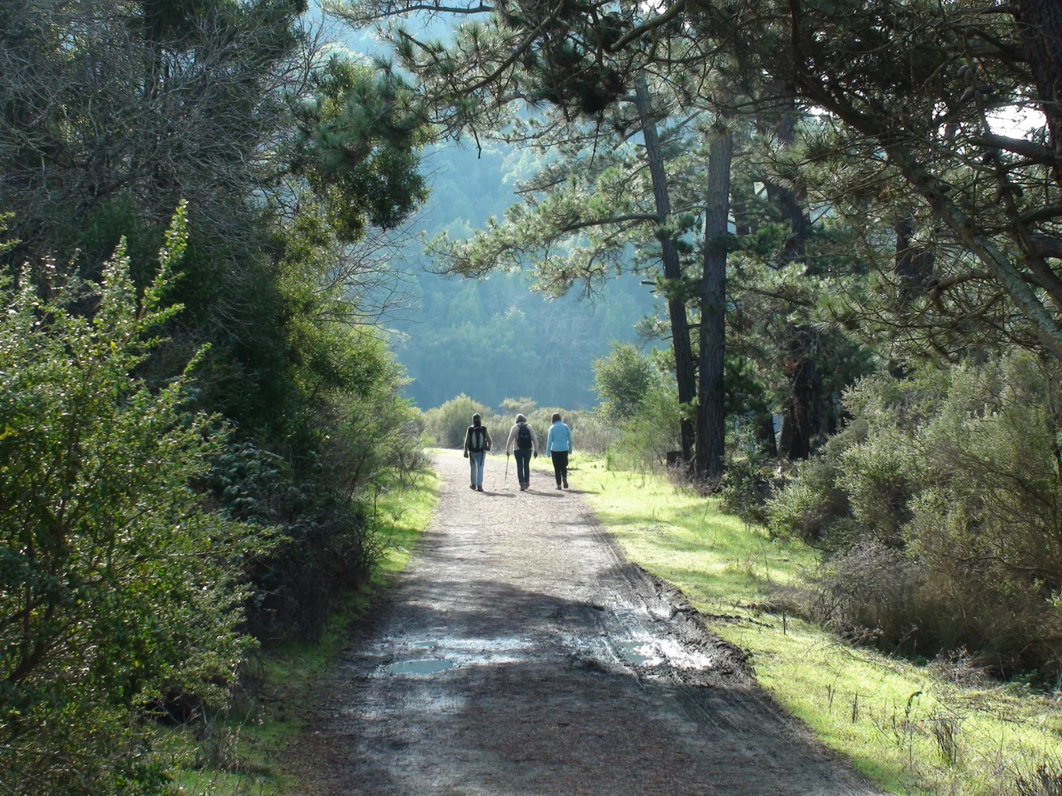 Rimer Creek_-15.jpg