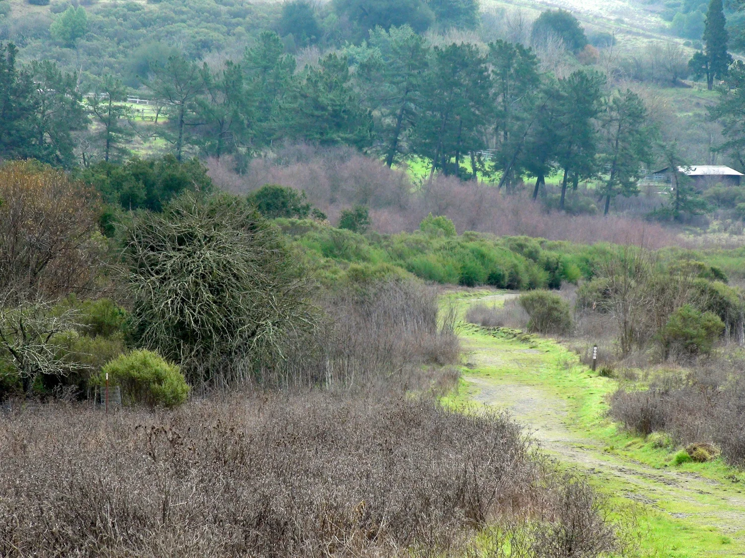 Rimer Creek_.jpg