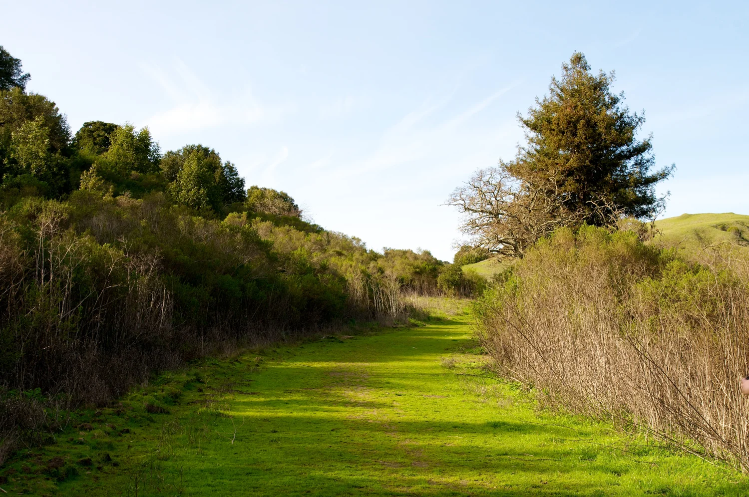 Riche Loop EB Mud-14.jpg