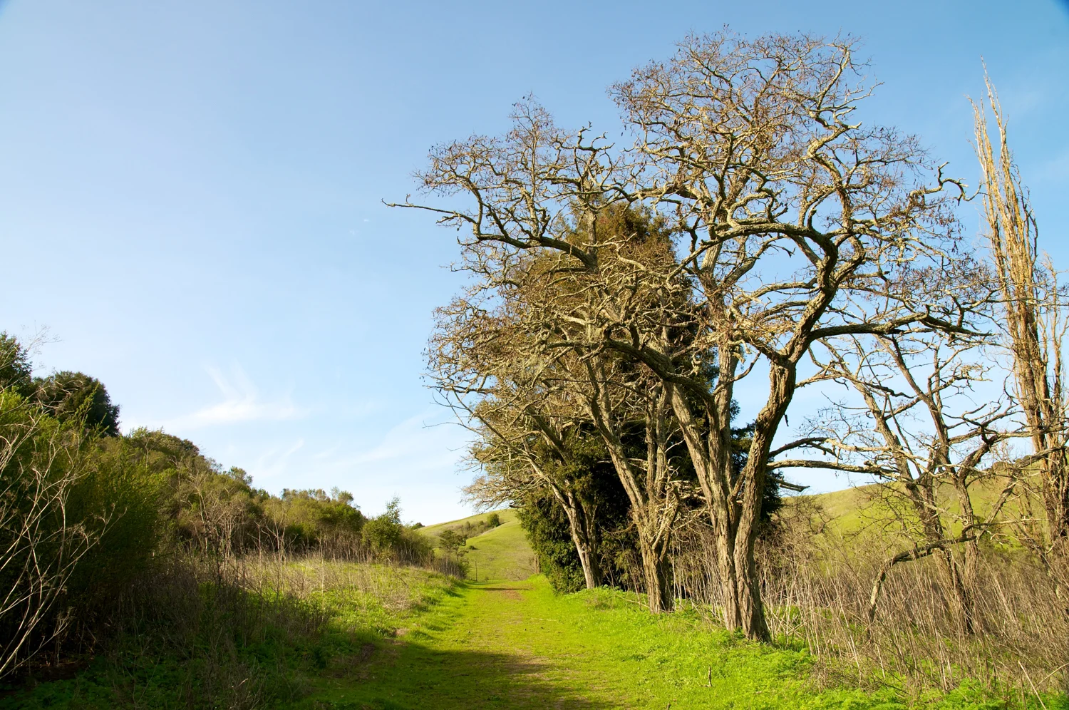 Riche Loop EB Mud-15.jpg