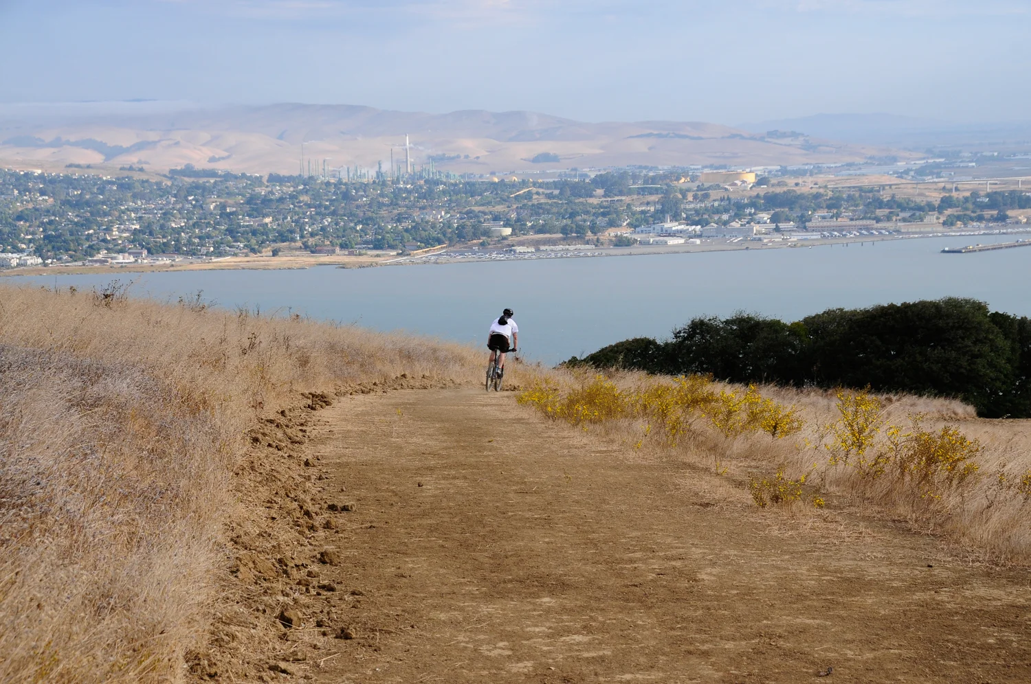 Carquinez Regional Shoreline-2.jpg