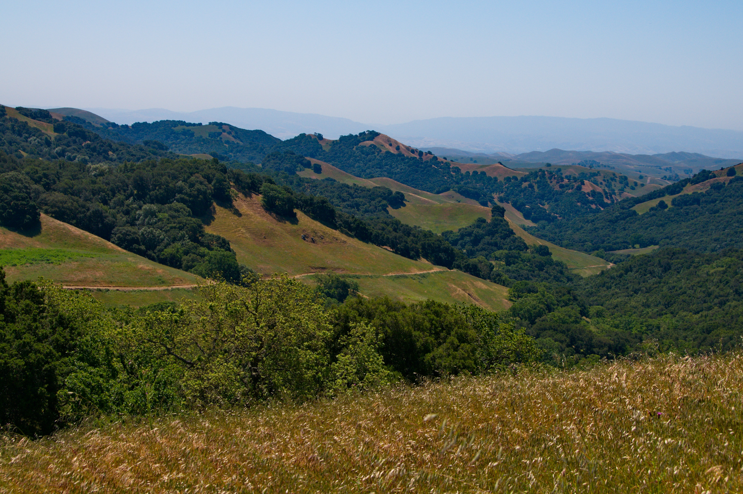 Mount diablo state park Tassajara-11.jpg