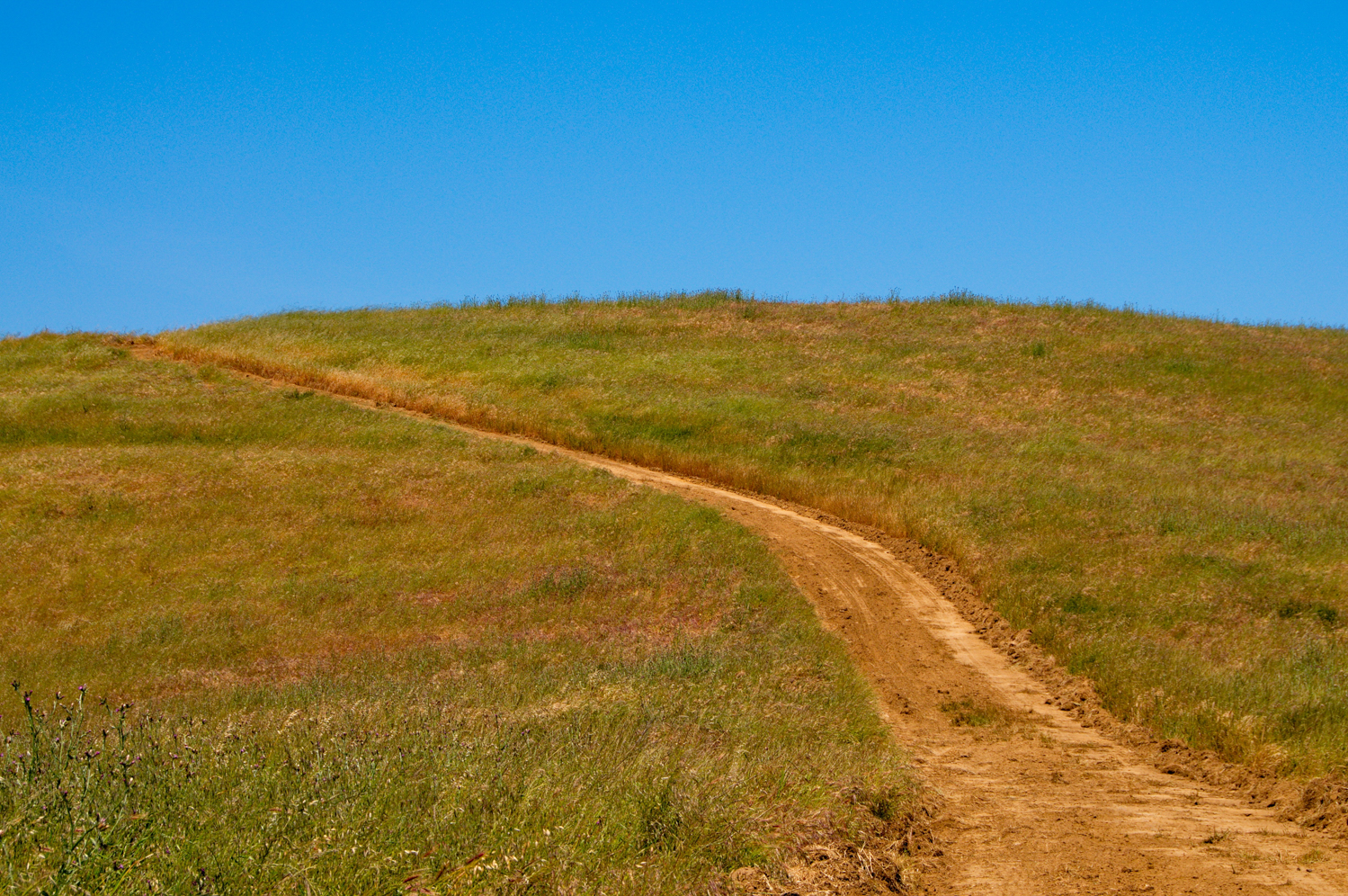 Mount diablo state park Tassajara-10.jpg