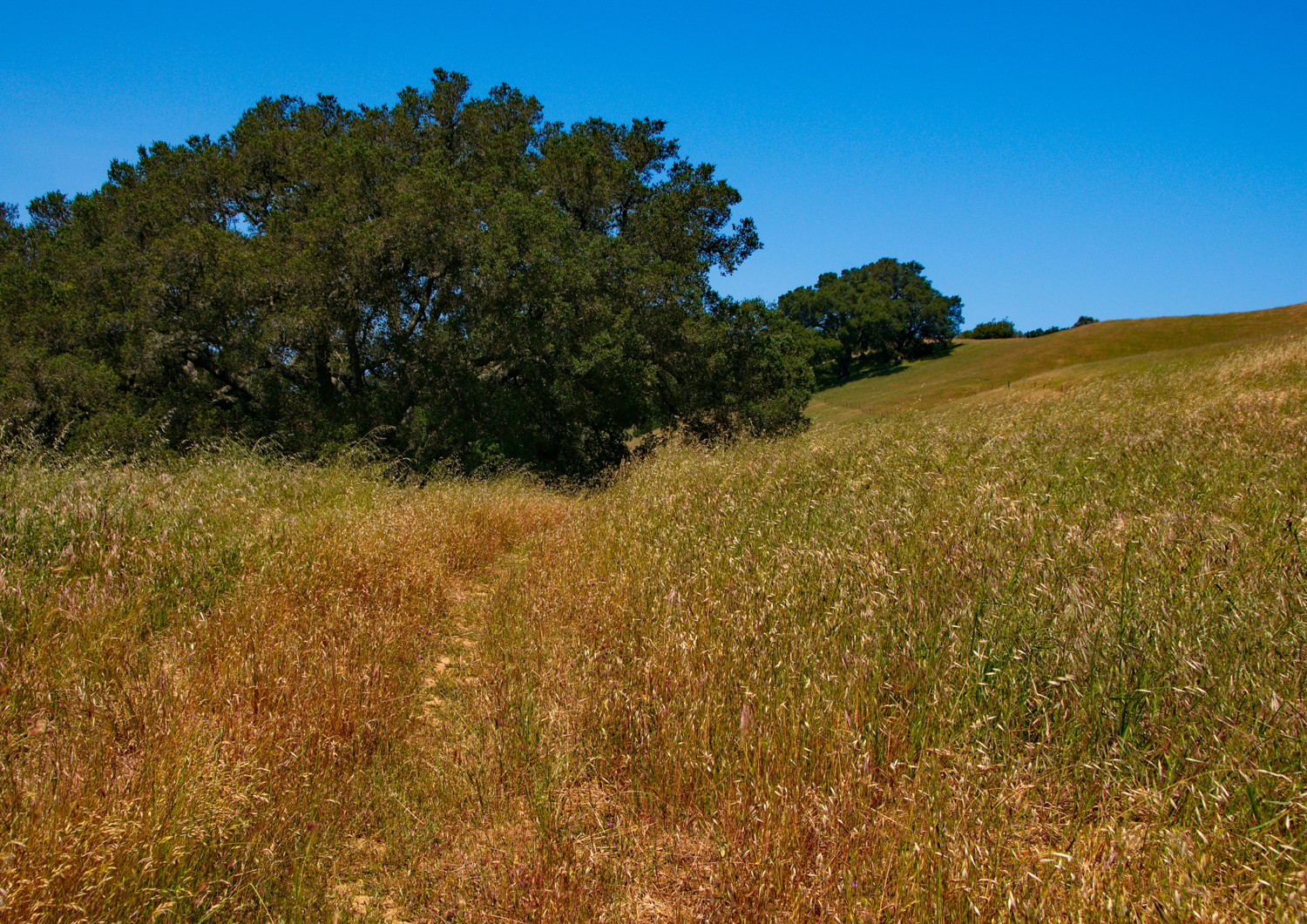 Mount diablo state park Tassajara-12.jpg