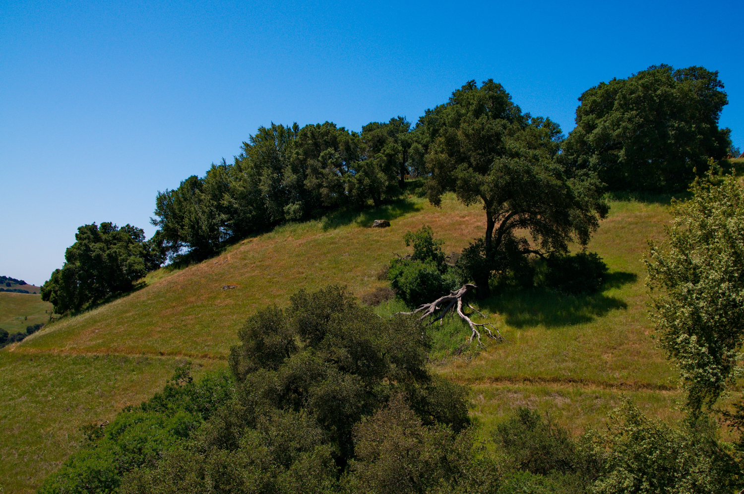 Mount diablo state park Tassajara-14.jpg