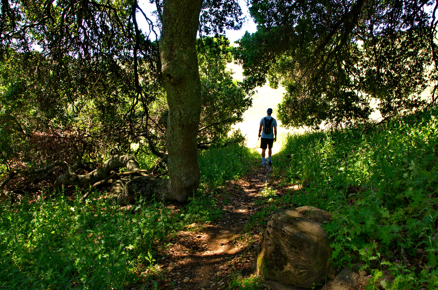 Mount diablo state park Tassajara-17.jpg