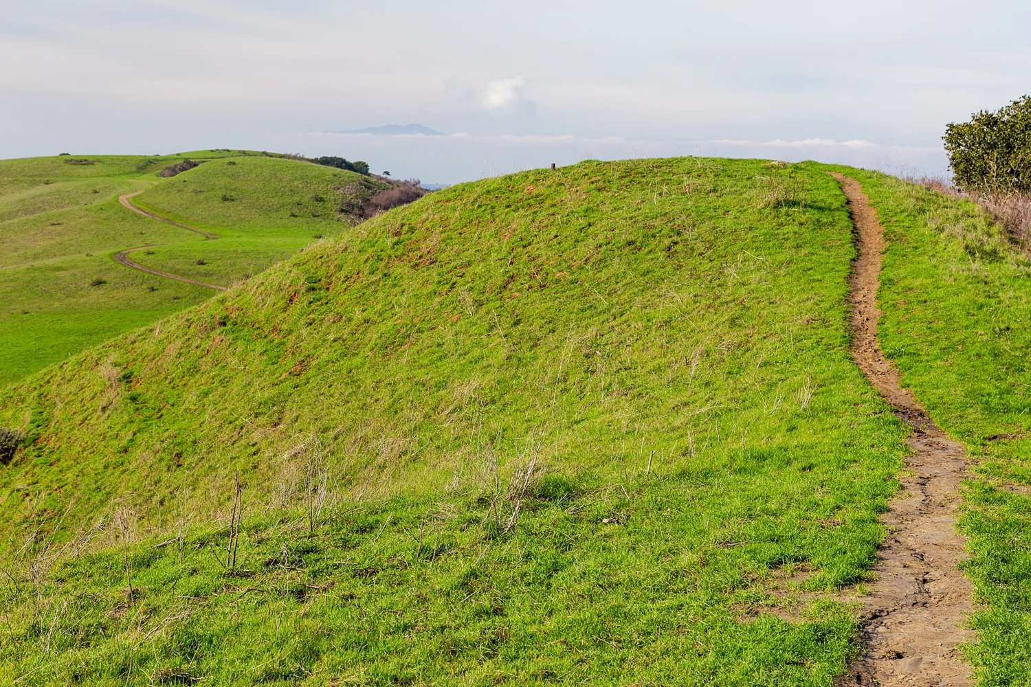 Wildcat Canyon Regional Park-2.jpg