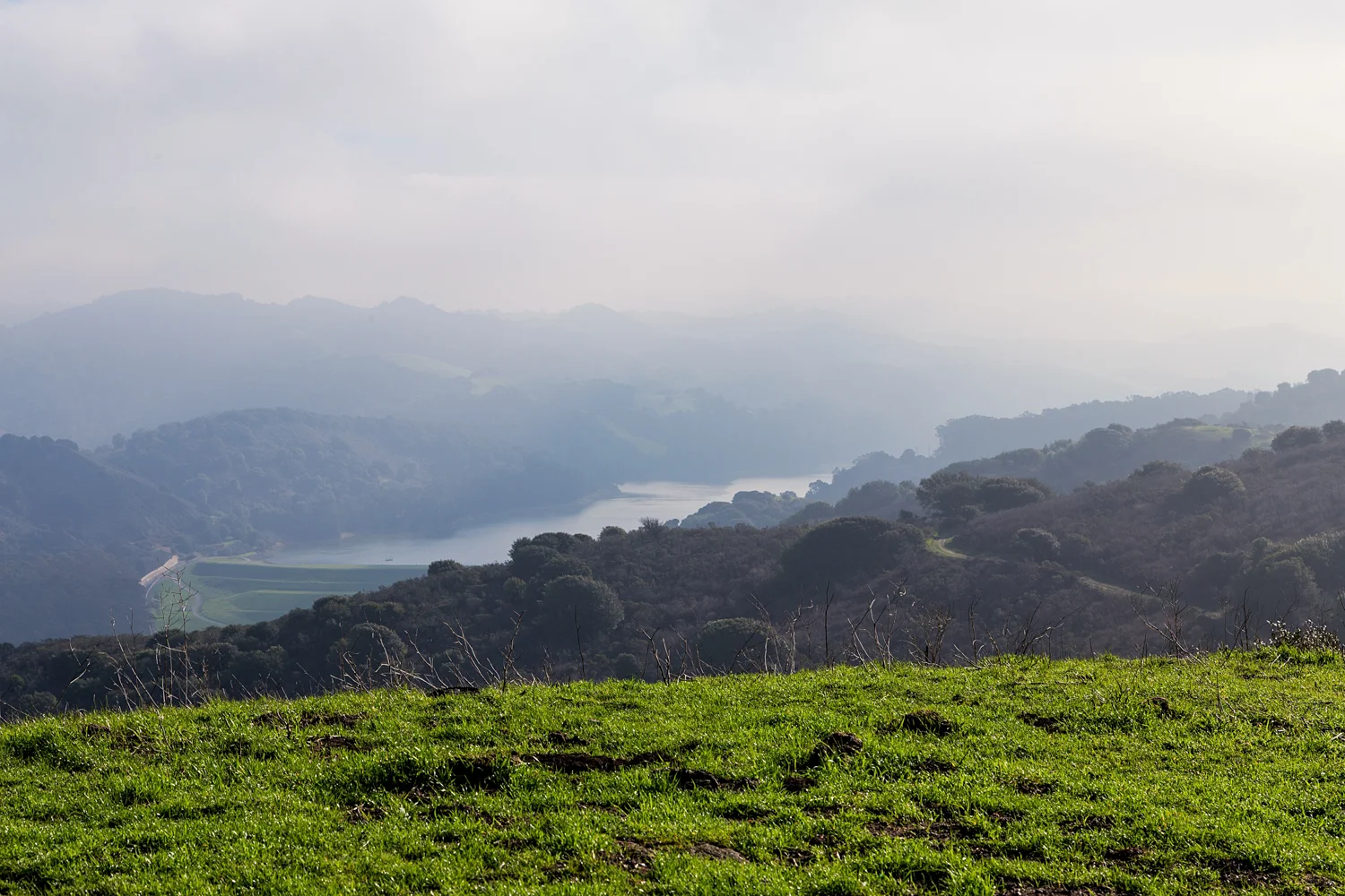 Wildcat Canyon Regional Park-16.jpg