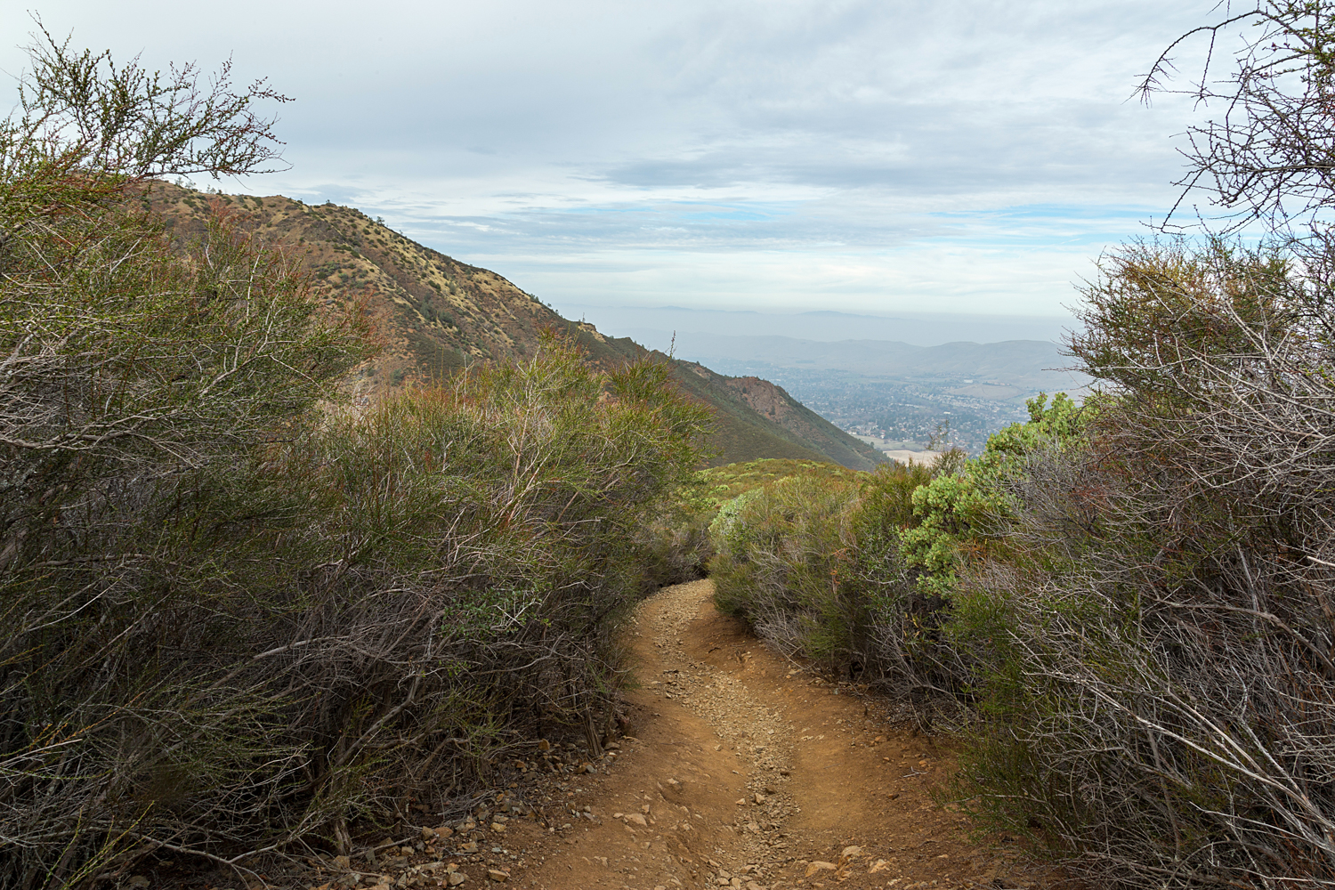 Back Creek Trail Mount Diablo State Park-7.jpg