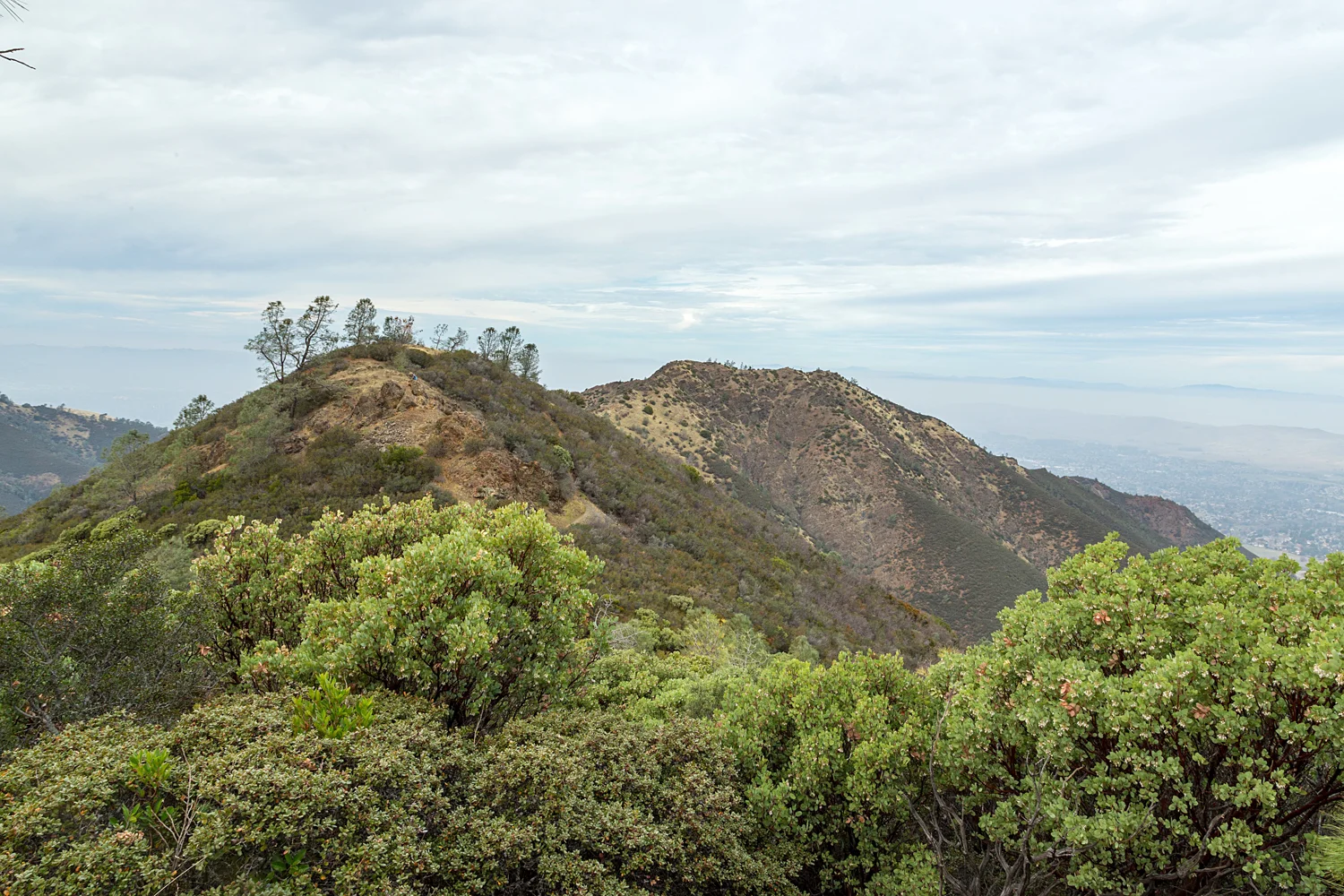 Back Creek Trail Mount Diablo State Park-13.jpg