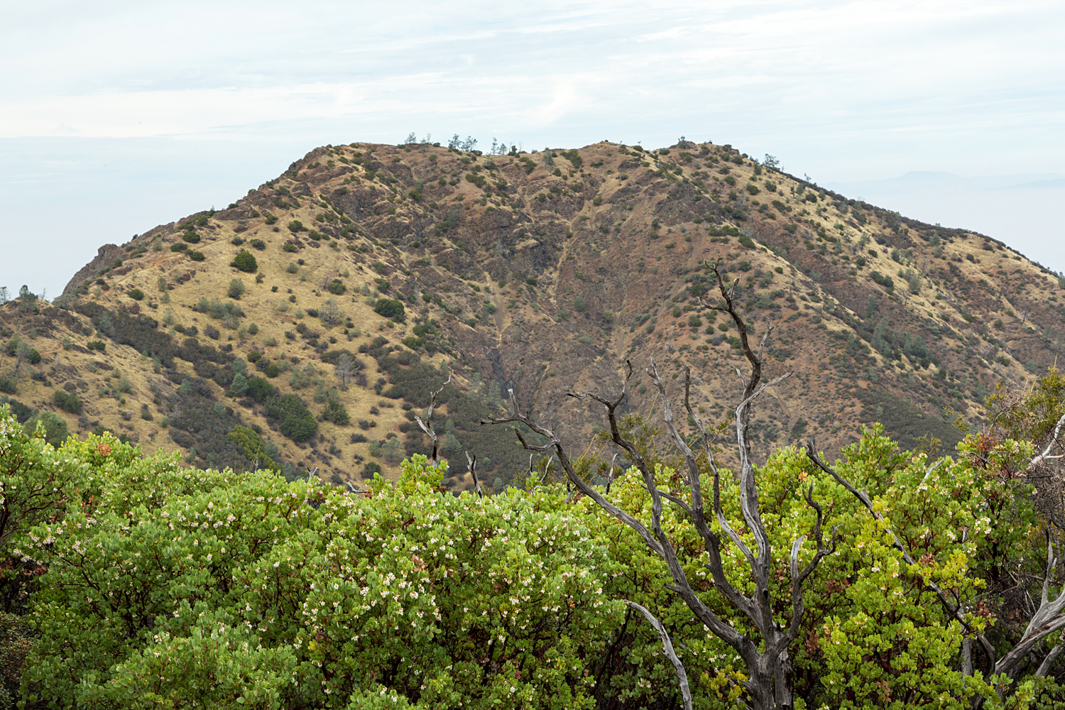 Back Creek Trail Mount Diablo State Park-14.jpg