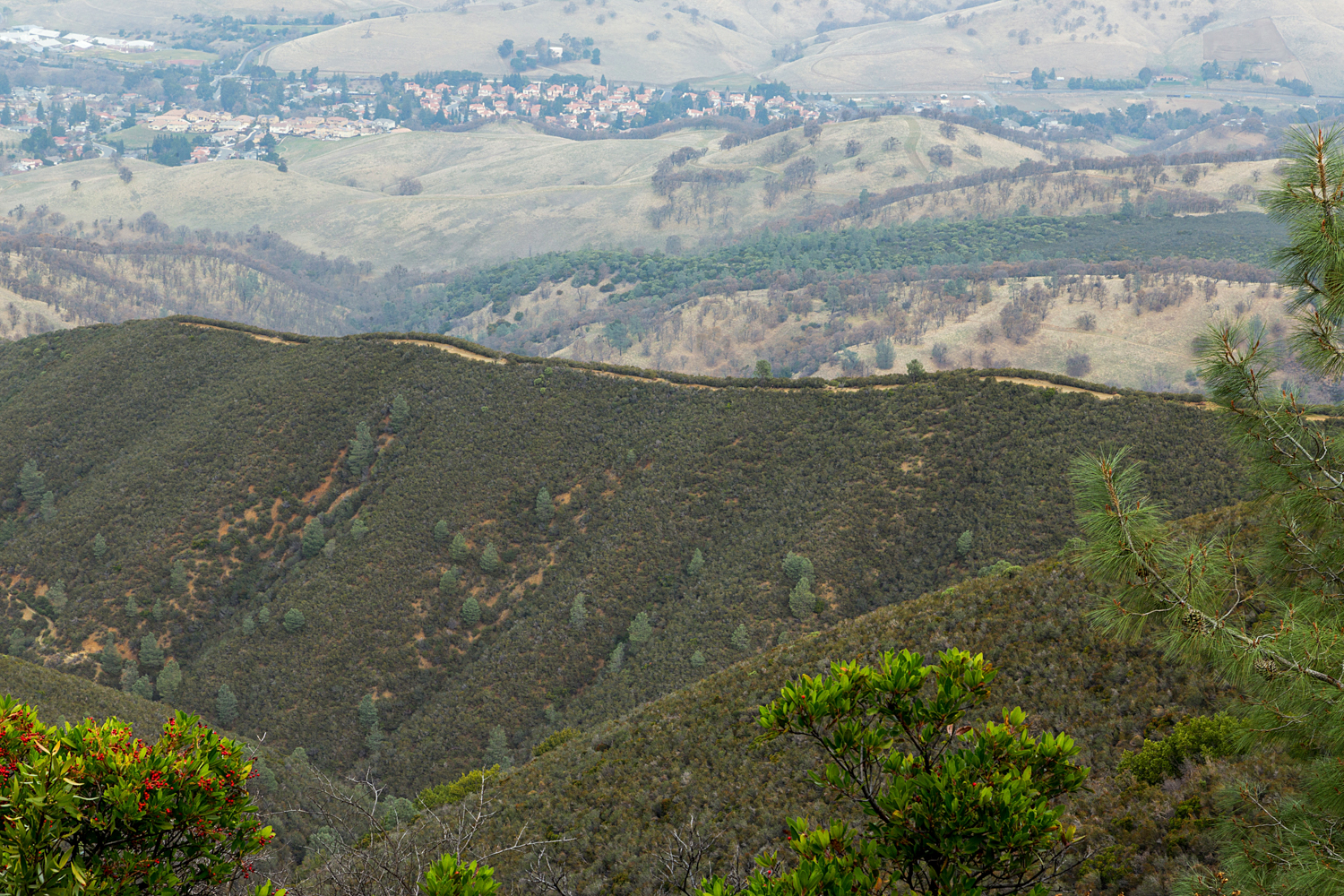 Back Creek Trail Mount Diablo State Park-15.jpg