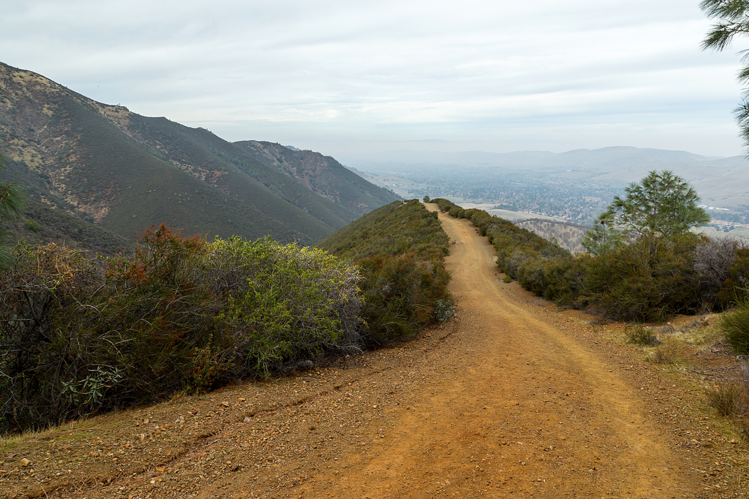 Back Creek Trail Mount Diablo State Park-20.jpg