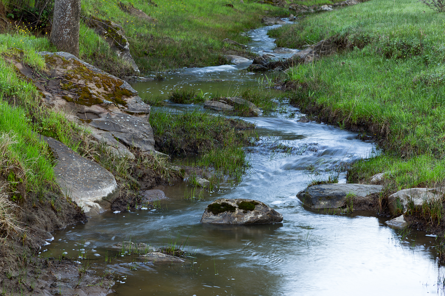 Round Valley Miwok Trail-4.jpg