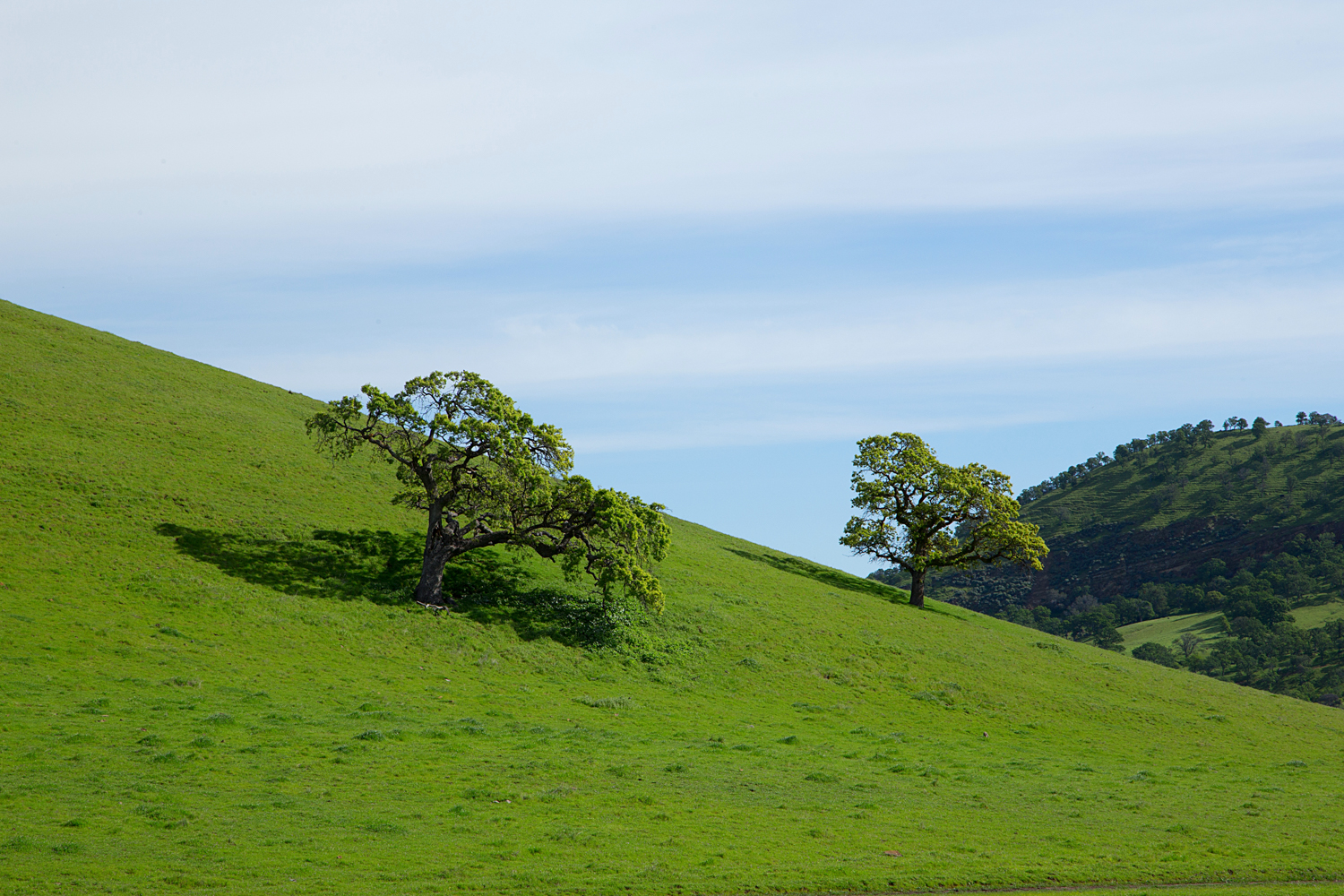 Round Valley Miwok Trail-19.jpg