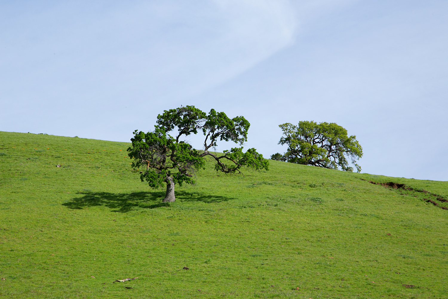 Round Valley Miwok Trail-20.jpg