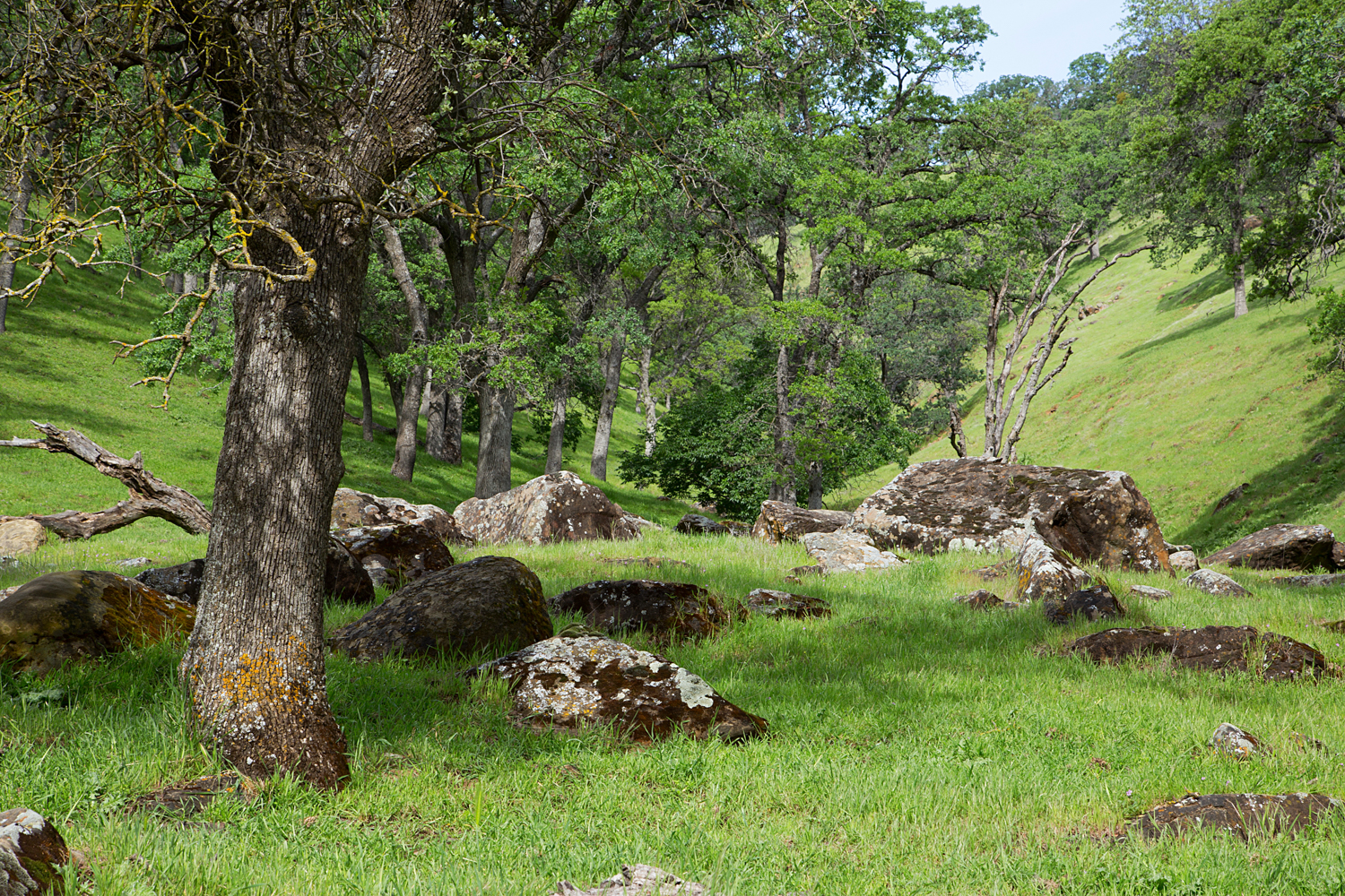 Round Valley Miwok Trail-23.jpg