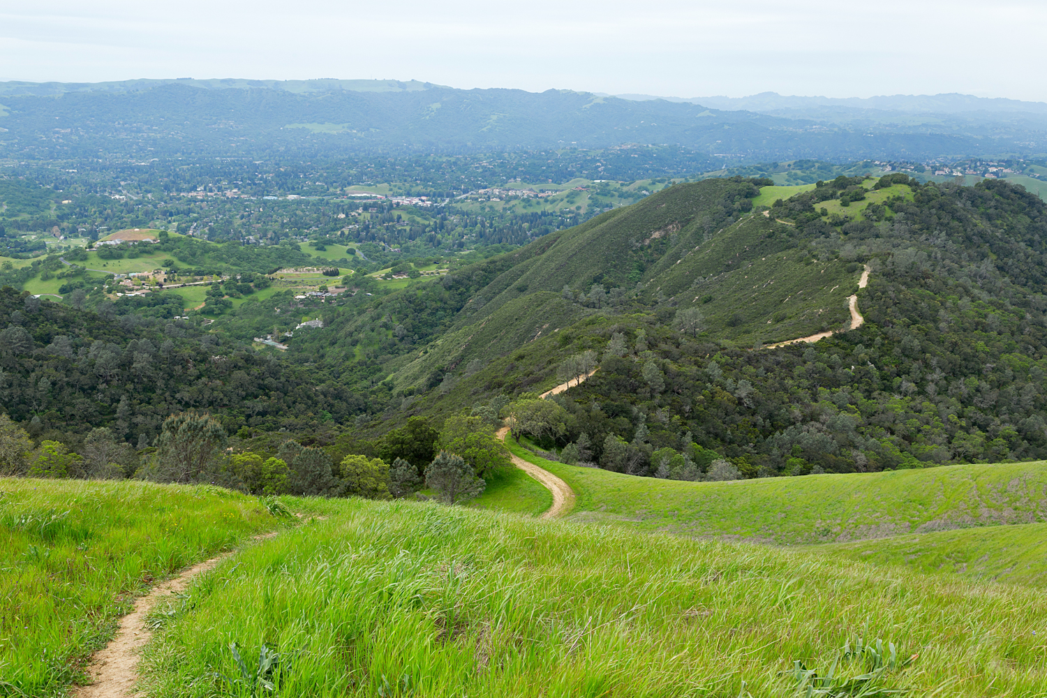 mount diablo state park pine canyon-7.jpg