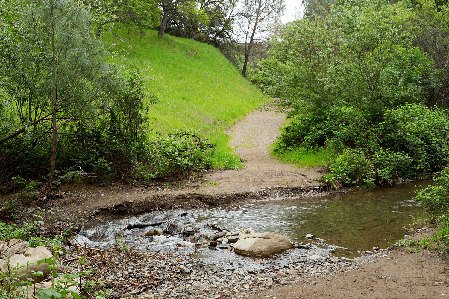 mount diablo state park pine canyon-9.jpg