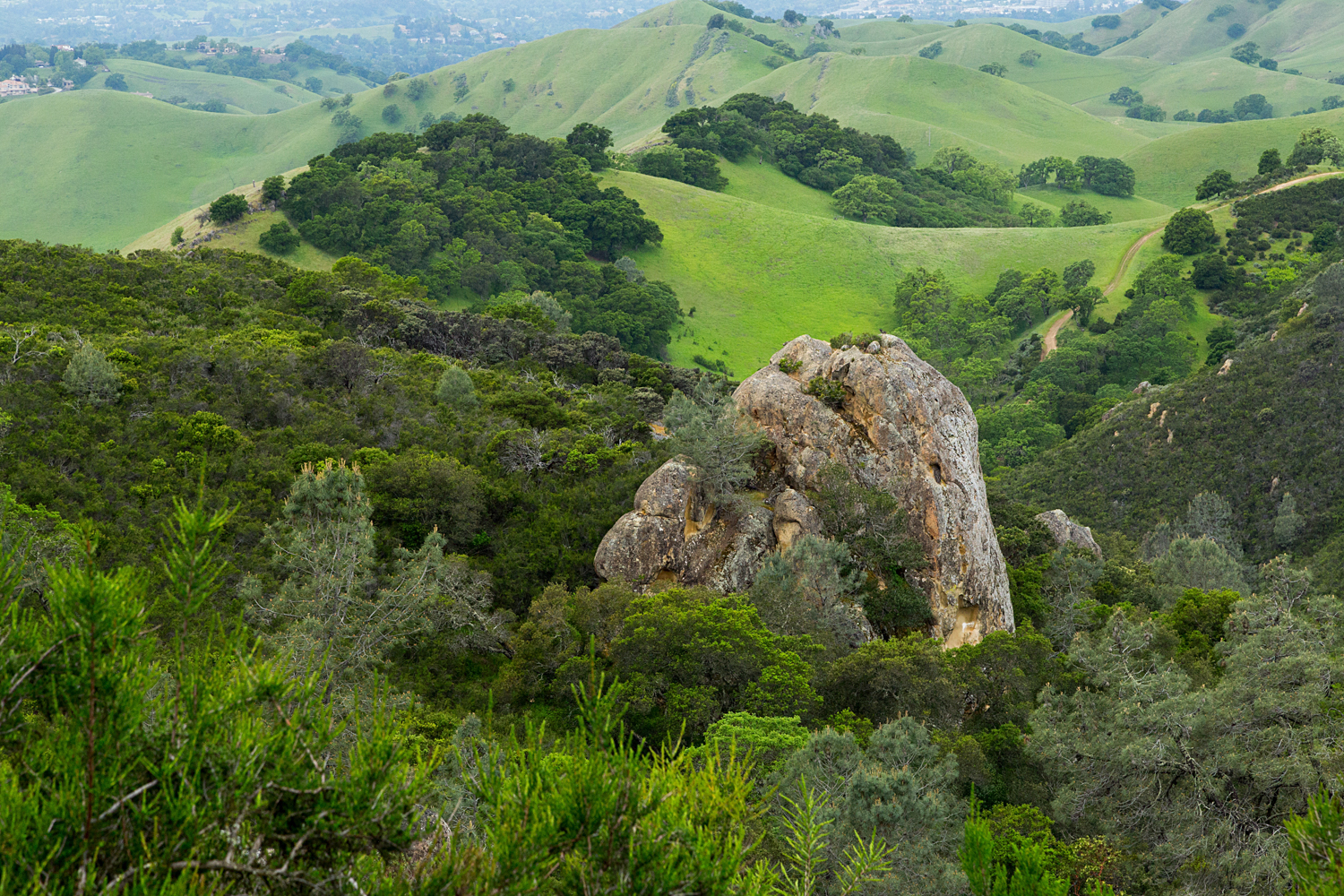 mount diablo state park pine canyon-30.jpg