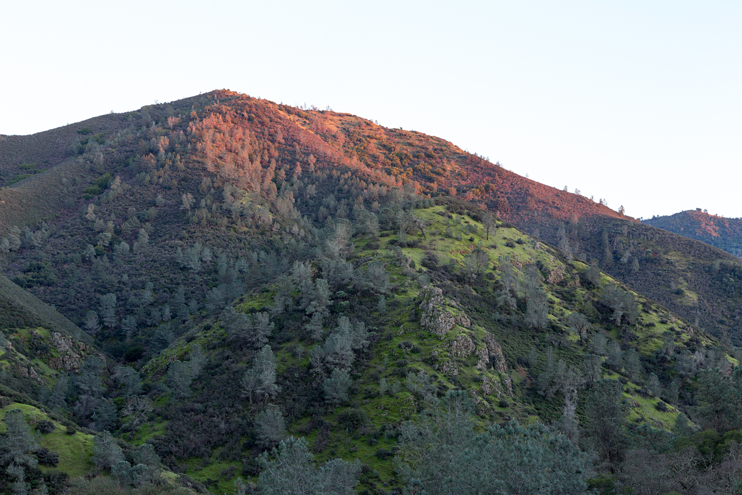 mount diablo state park black point 1-12.jpg