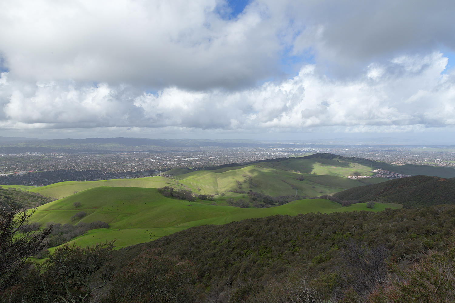 2 mount diablo state park black point 2-2.jpg