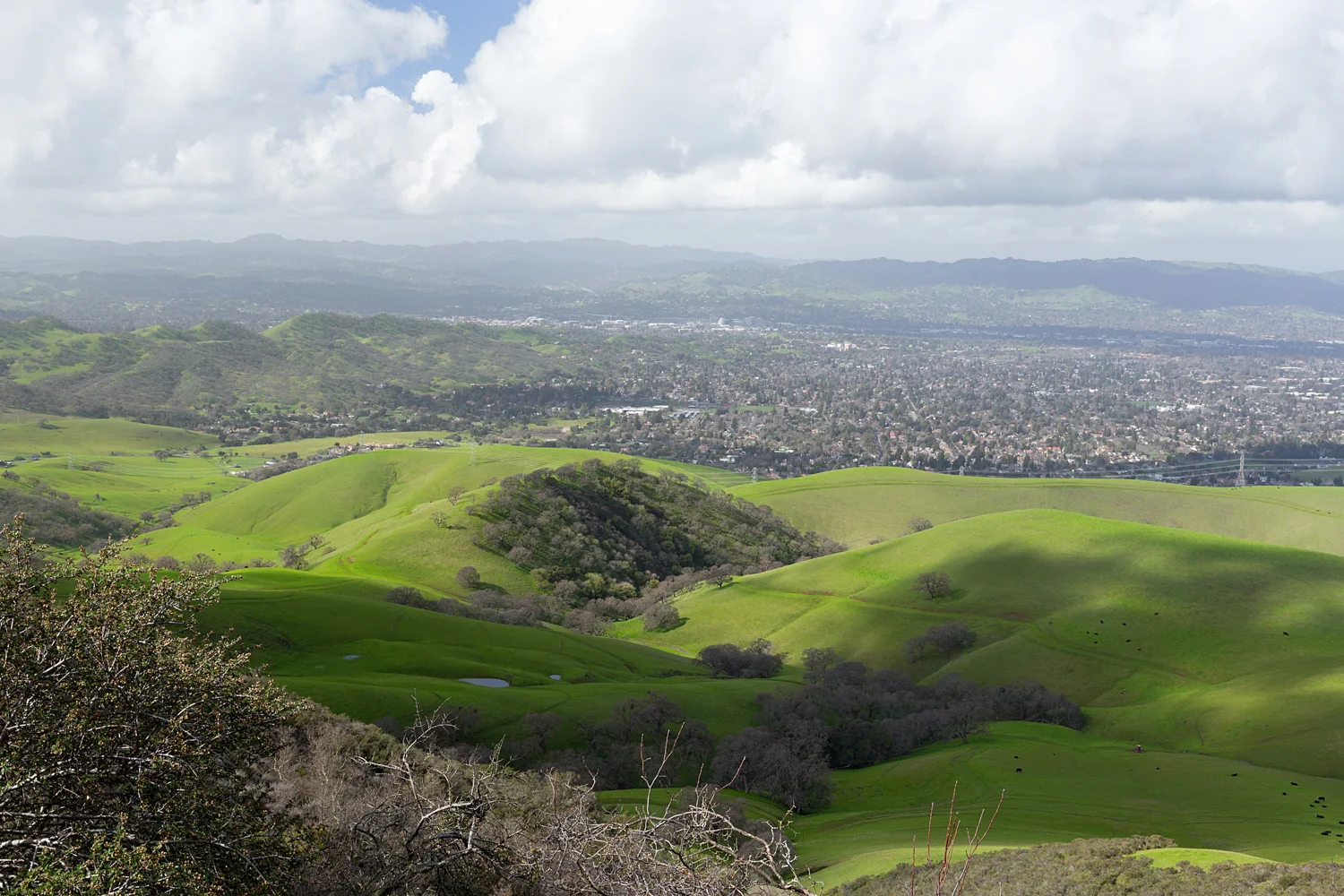 2 mount diablo state park black point 2-3.jpg