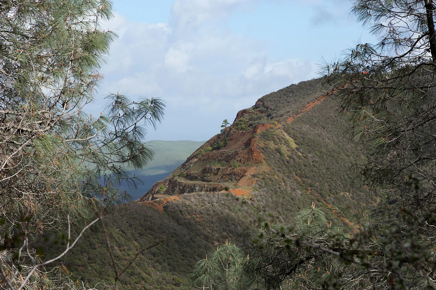 2 mount diablo state park black point 2-15.jpg