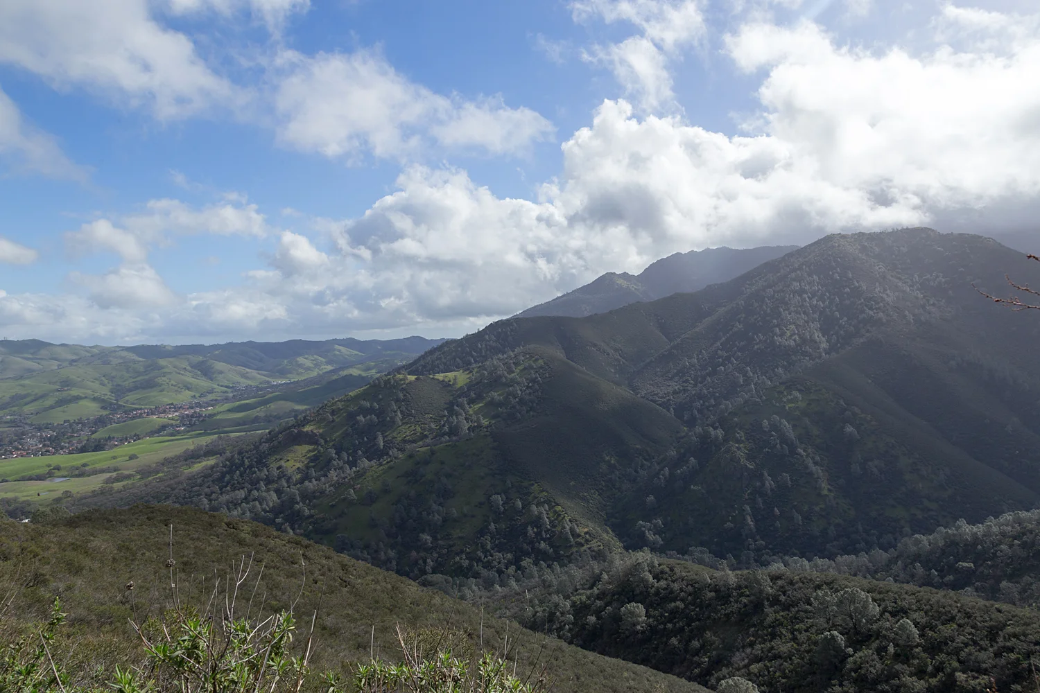 2 mount diablo state park black point 2-17.jpg